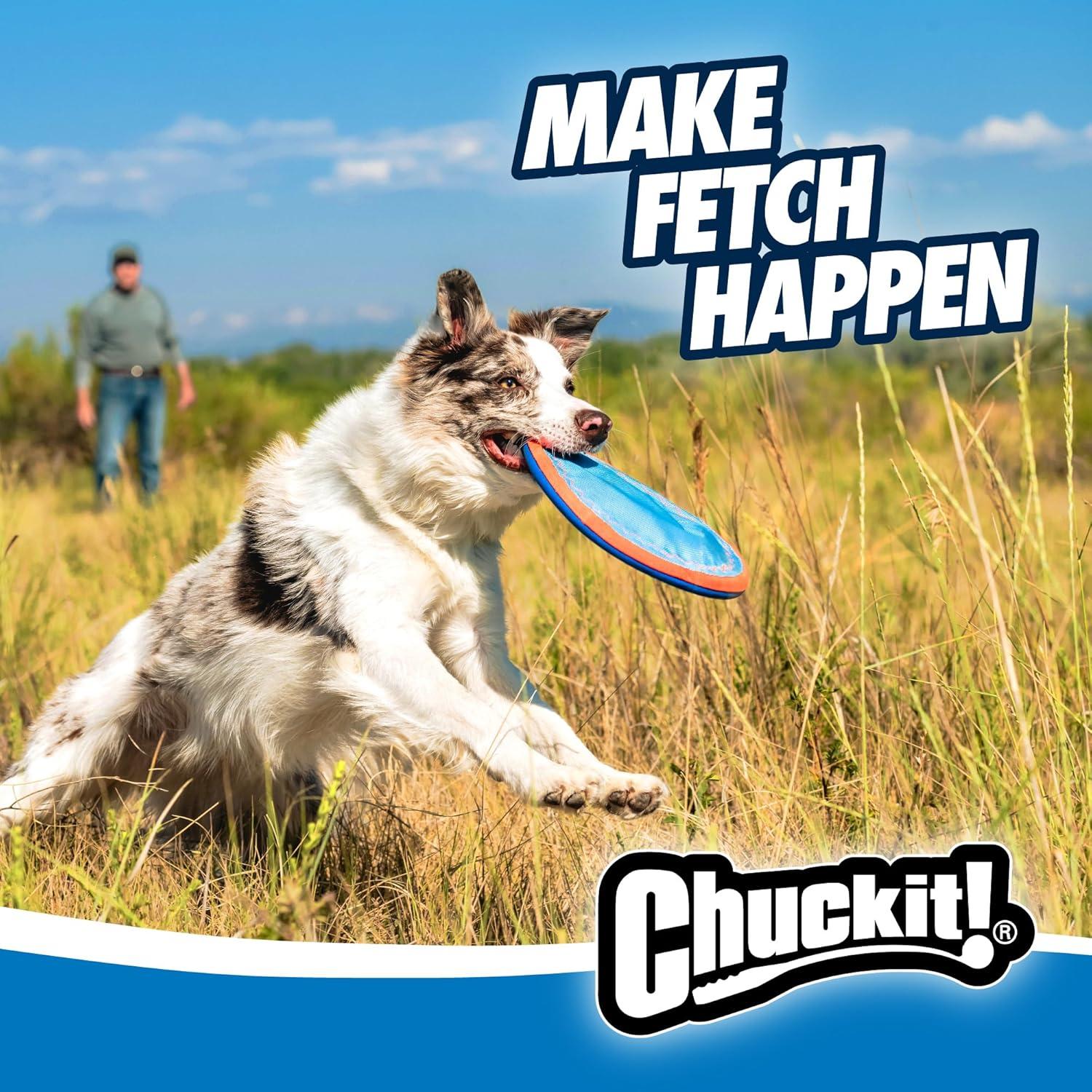 How Our Active Pups Master Fetch with This Floating Flyer