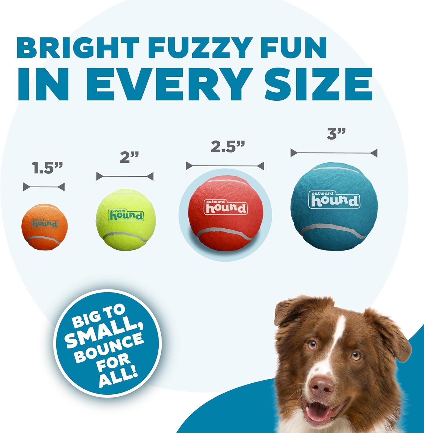 Why Our Dogs Can’t Get Enough of These Bouncy Squeaky Balls
