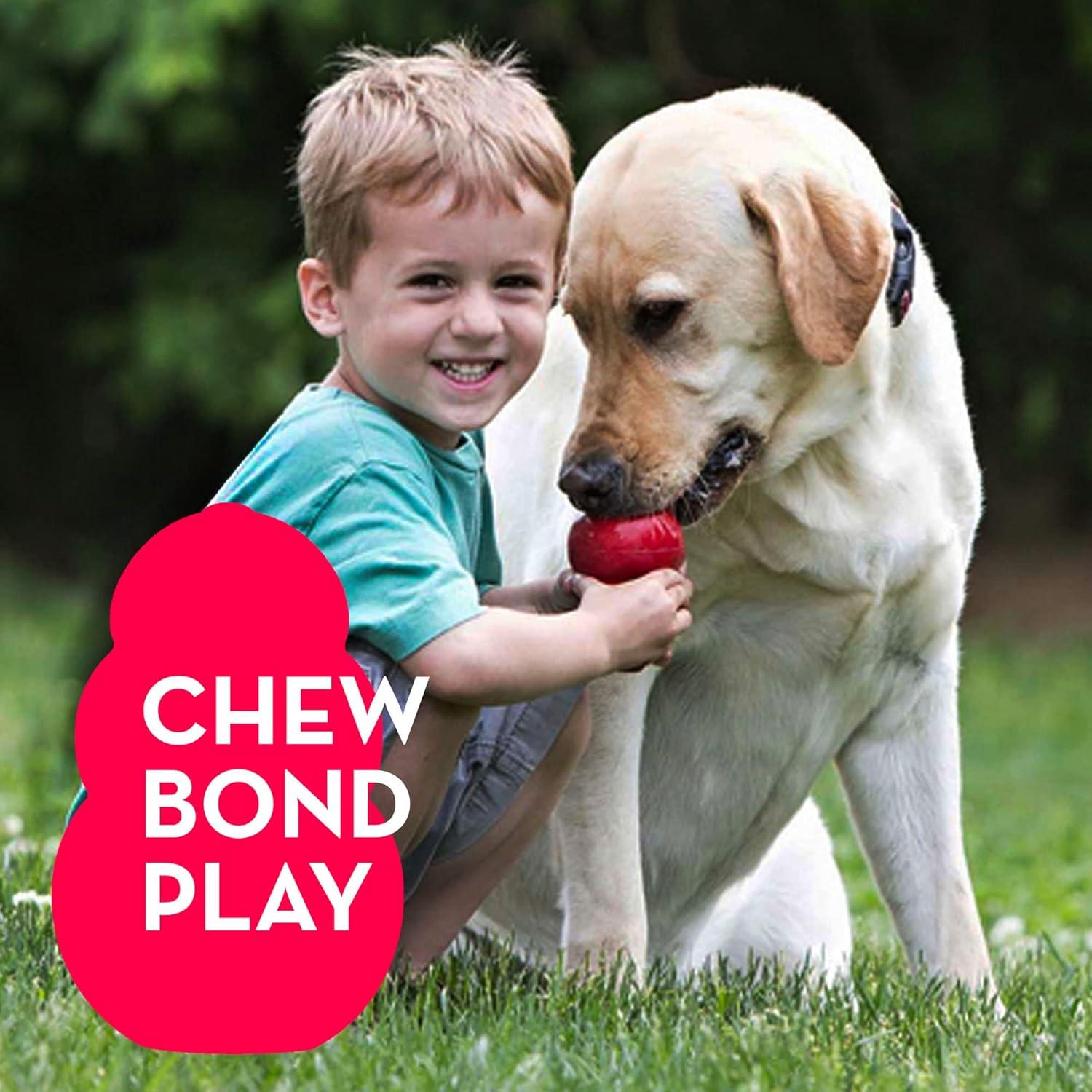 How We Kept Our Dogs⣠Busy Longerā with This Durable Chew Toy