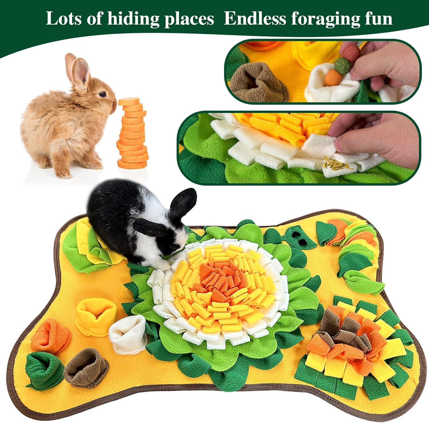 How Our Pets Stay Happy and Busy with This Cozy Foraging mat