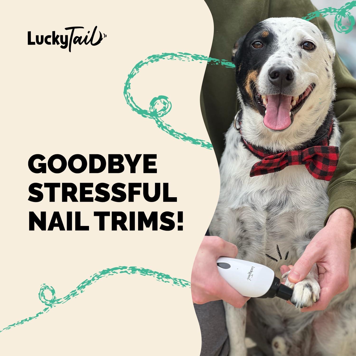 keeping Our Pets Calm: The Quiet Nail grinder That Works Wonders
