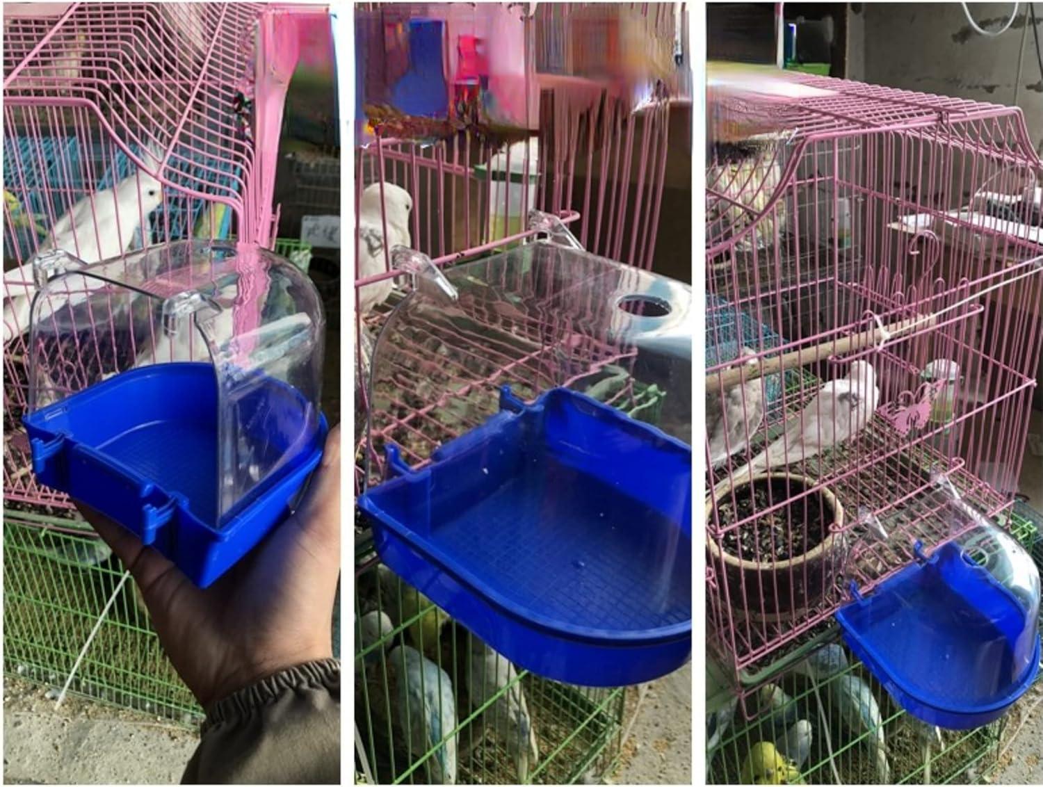 How⣠Our Birds Enjoy cleaner ā£Feathers withā This Easy Bath Solution