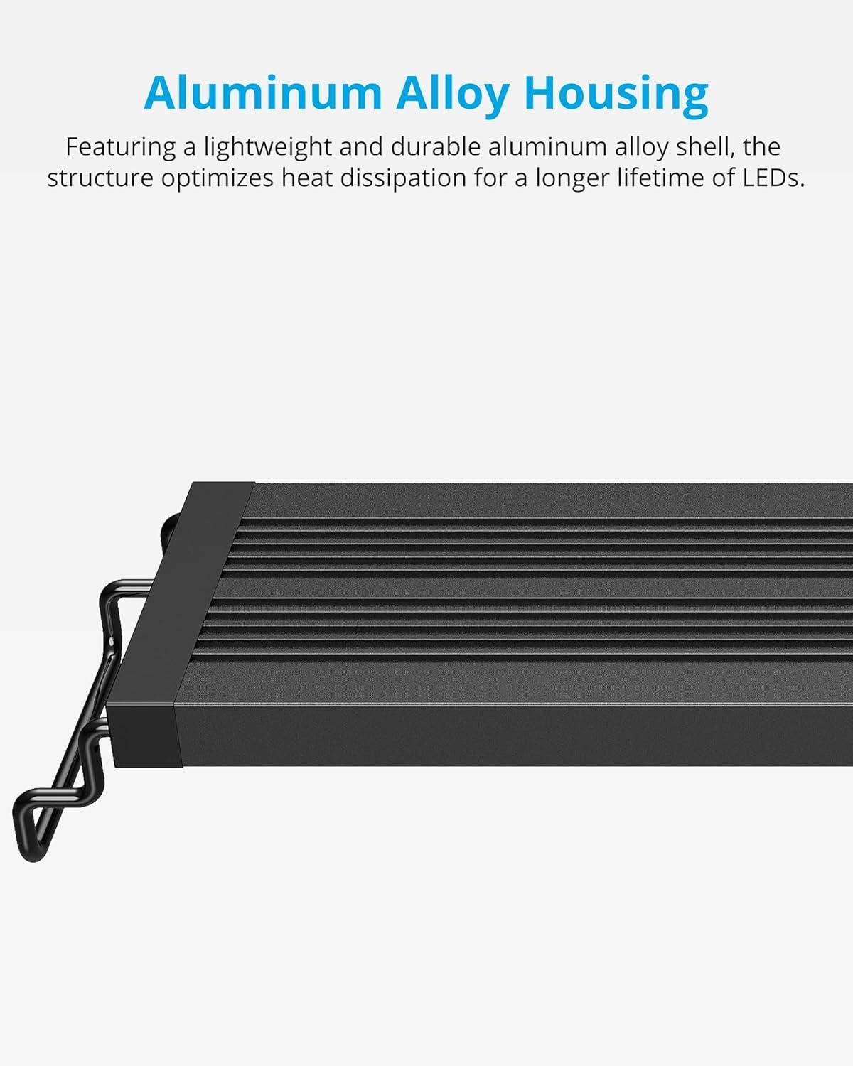 How We Elevated Our Aquascape with Nature’s Light Simulator