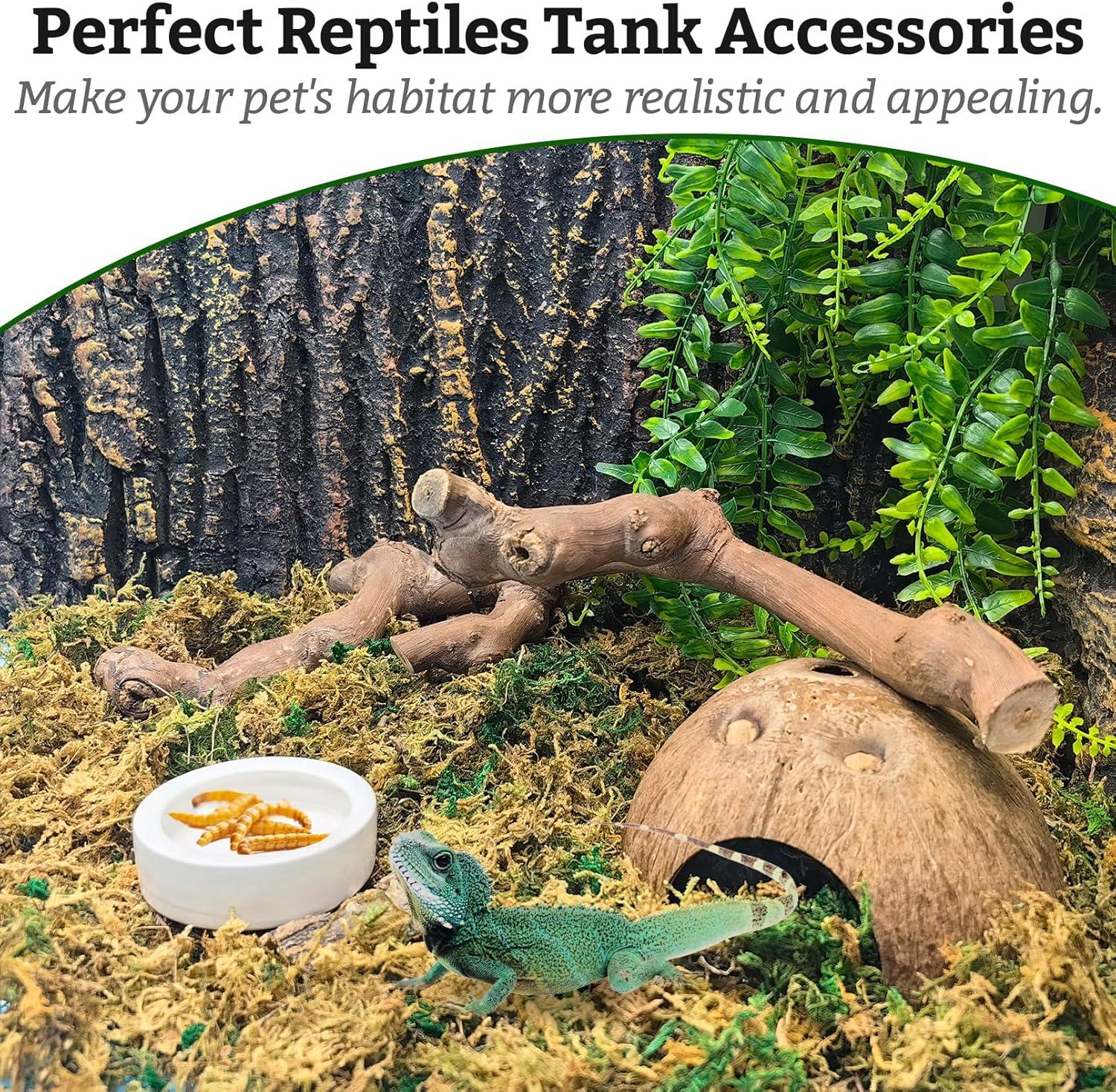 How We Keep Our Western Saddles Safe‌ and Stylish on Every Ride