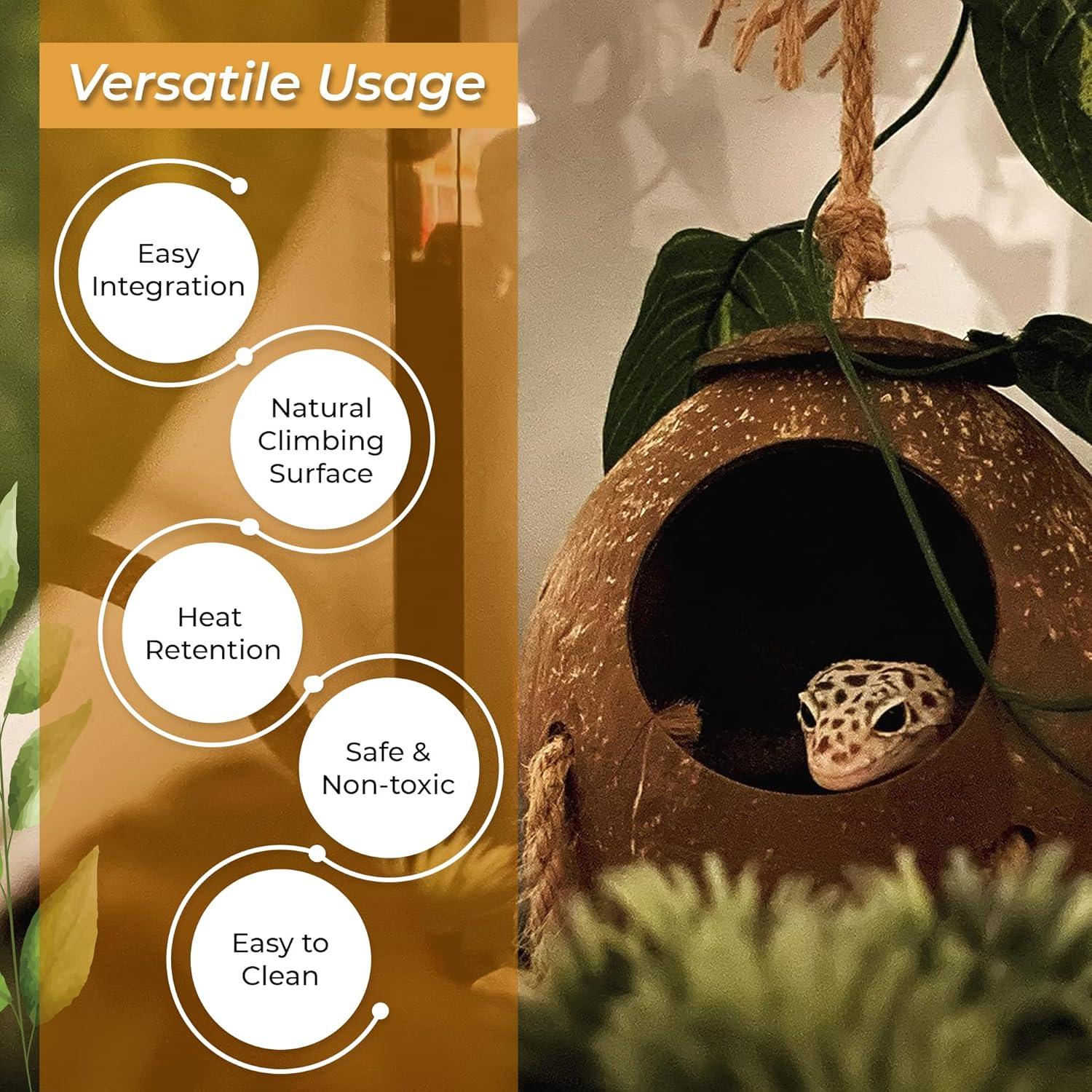 How Our Gecko’s coconut Hide Inspires Play and Cozy Comfort