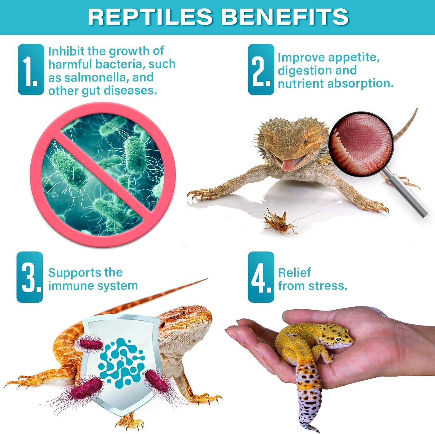 How We ‌Boost​ Our Reptiles’ Health with Easy Gut ⁢Support