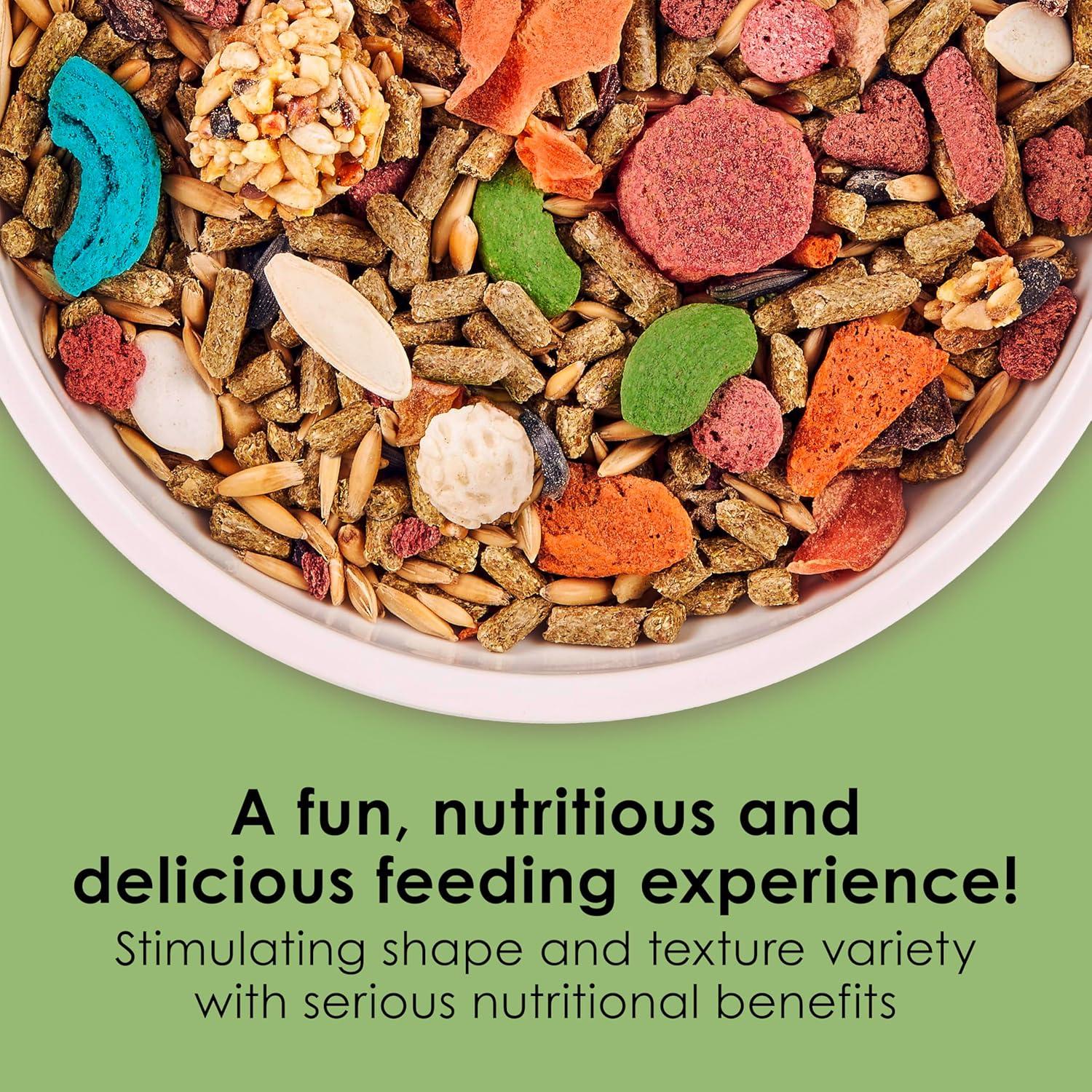 Why Kaytee Fiesta Turns Every Bunny’s Meal into a Celebration