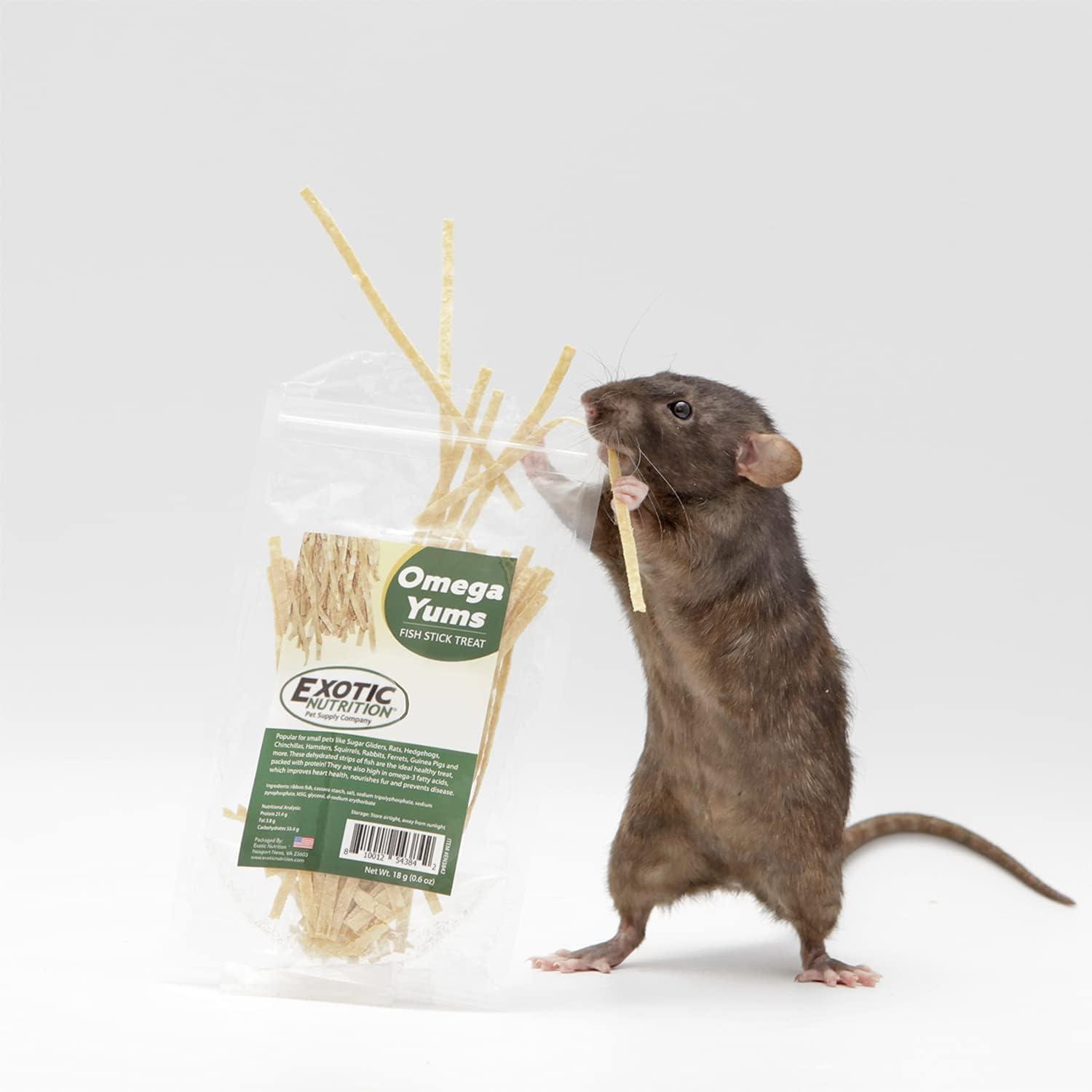 How Our Sugar Gliders Thrived on These natural Fish Stick Treats