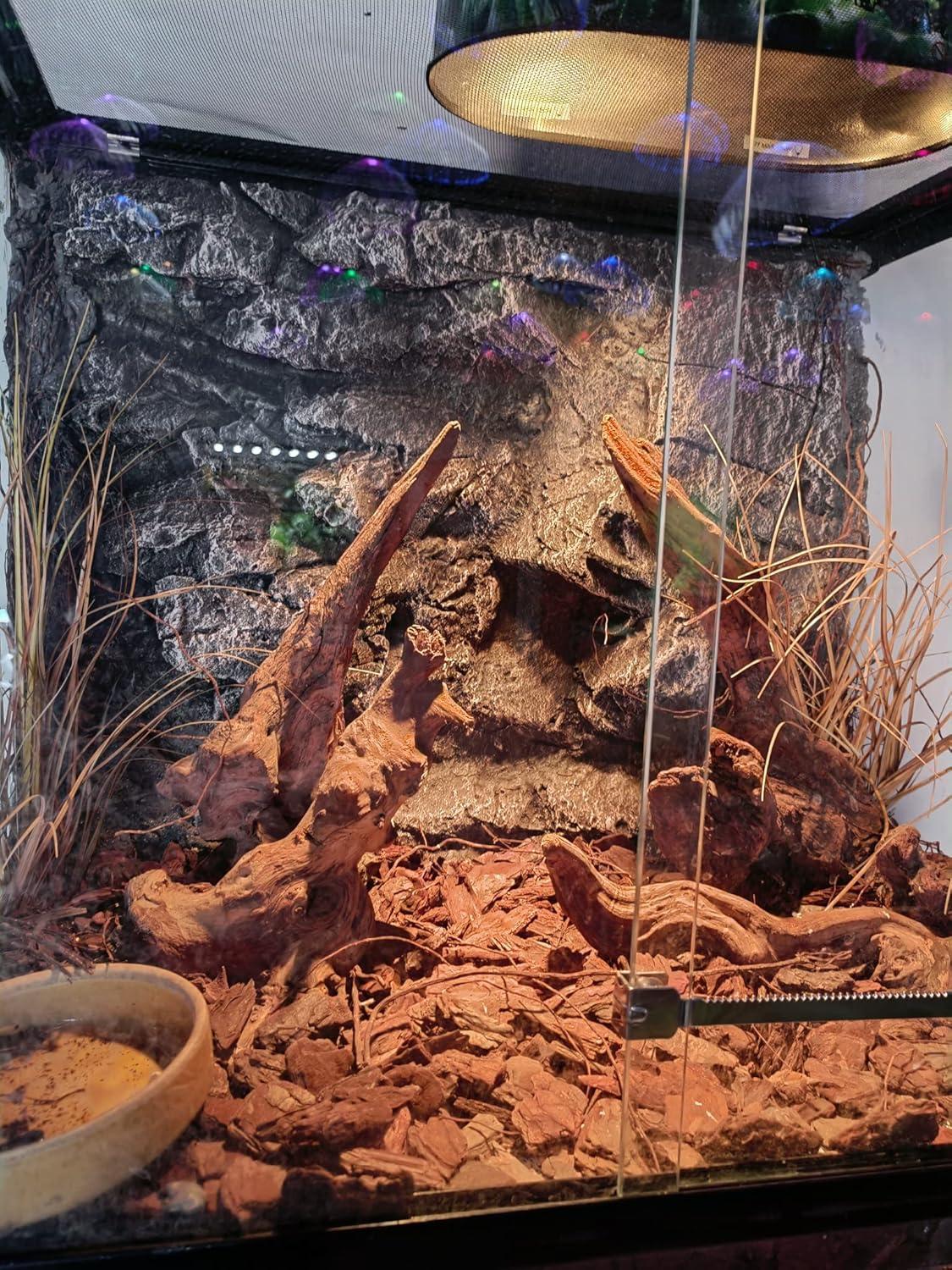 How We Bring the Desert Home: Easy, lifelike Terrarium Grass