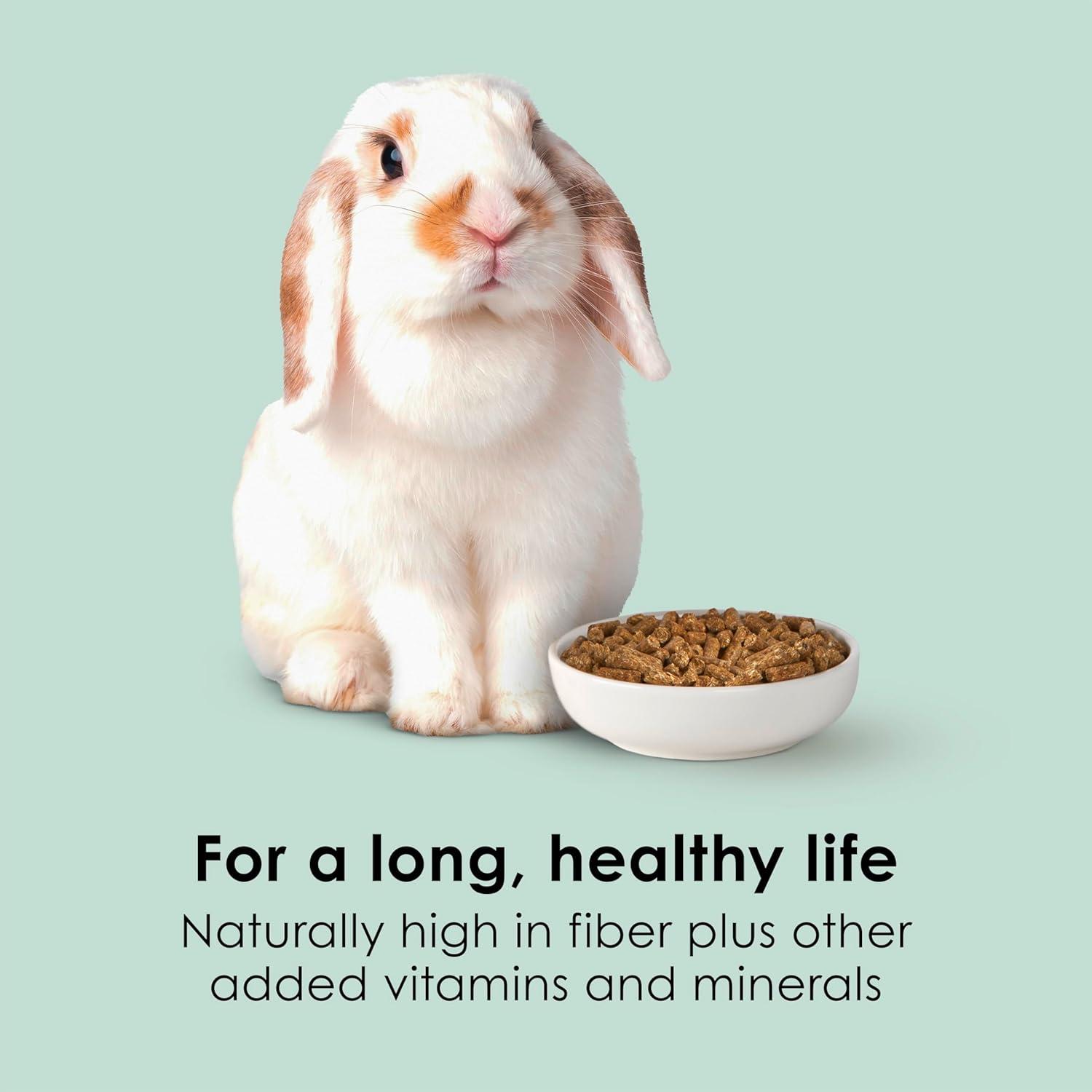 How We Found the Perfect Fiber Boost for Our Bunny’s Health