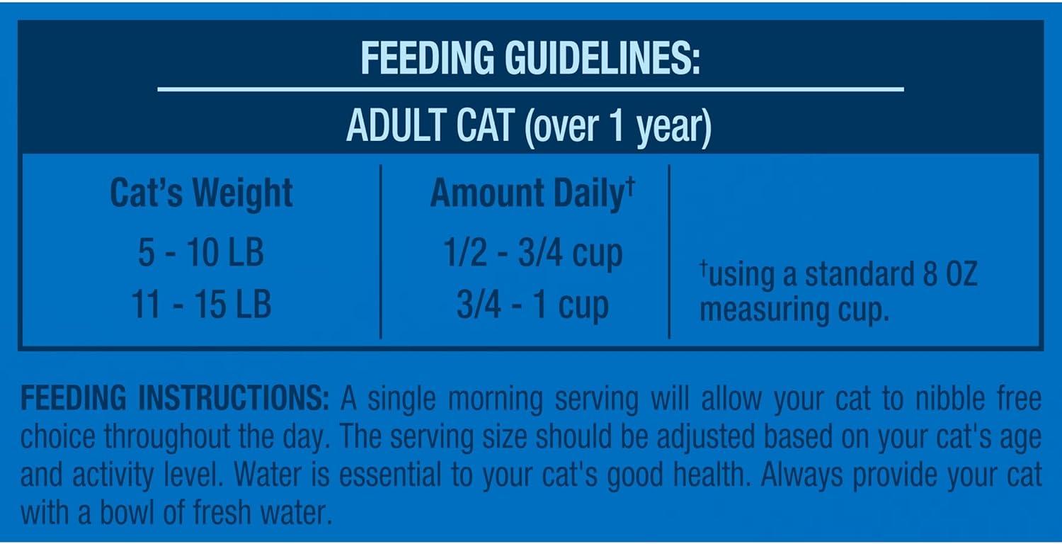 The Balanced Feast Keeping Our Cats Healthy and Happy Daily