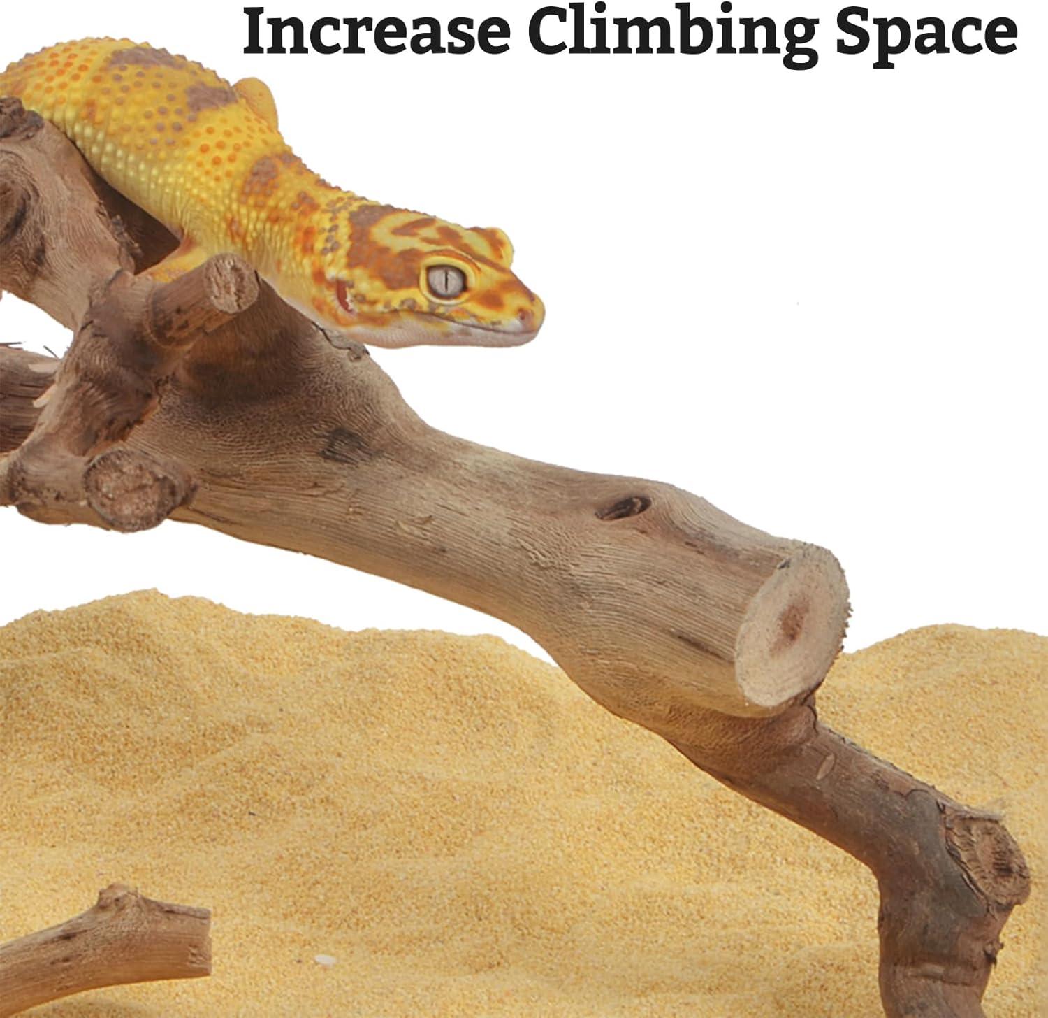 How Our Pets Thrived with These Natural Climbing Branches