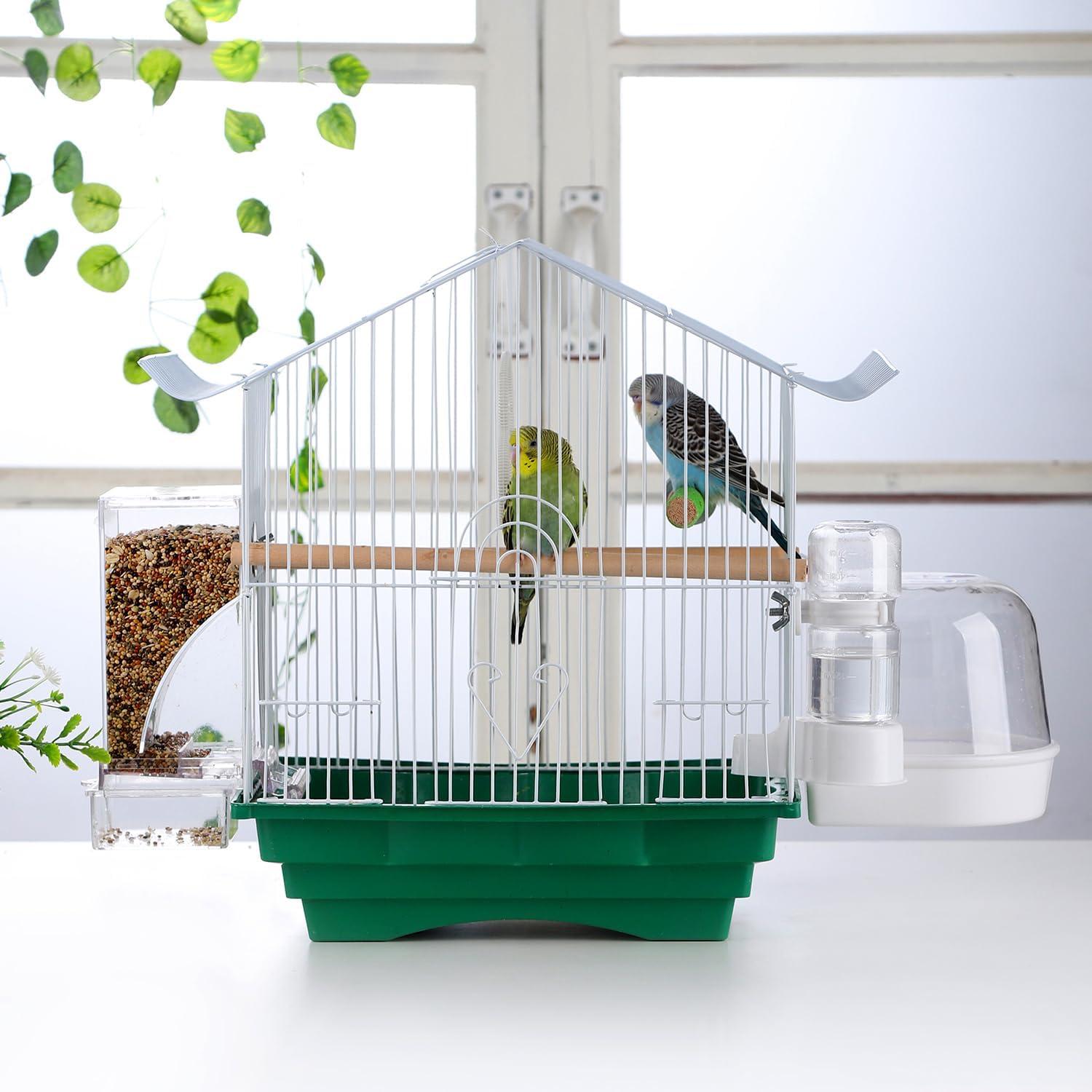 How This Mess-Free Bird Feeder ⁣Simplified Our Parrot Care ⁢Routine
