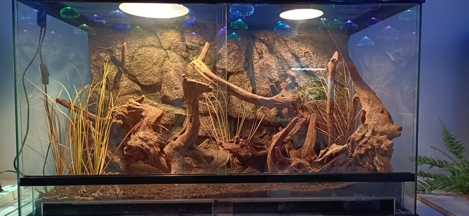 How We Bring the Desert Home: Easy, lifelike Terrarium Grass