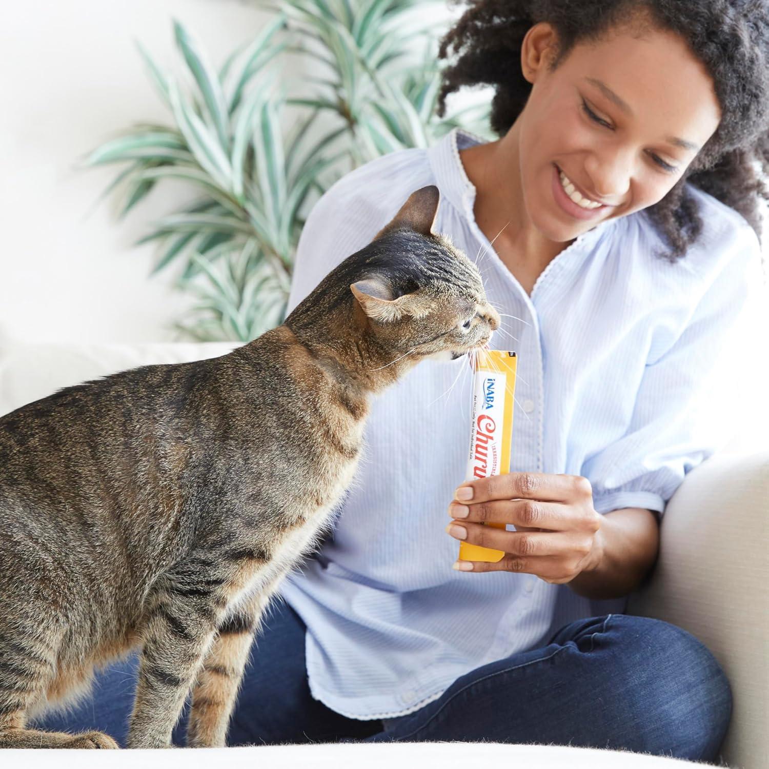 The Creamy Cat Treat That Hydrates and Delights Our Felines