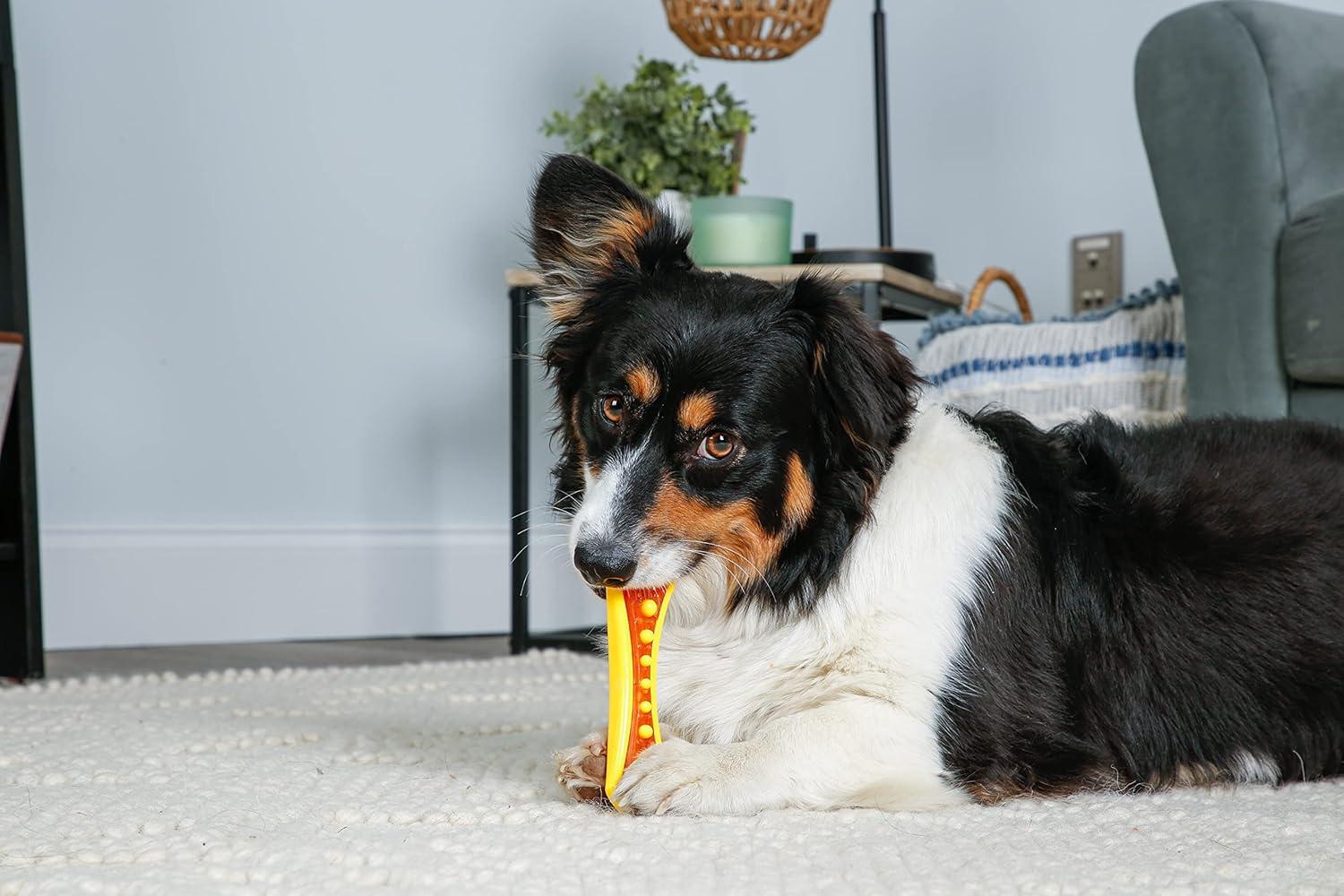 How We Kept⢠Our Dogs busyā Longer with This Durable Chew Toy