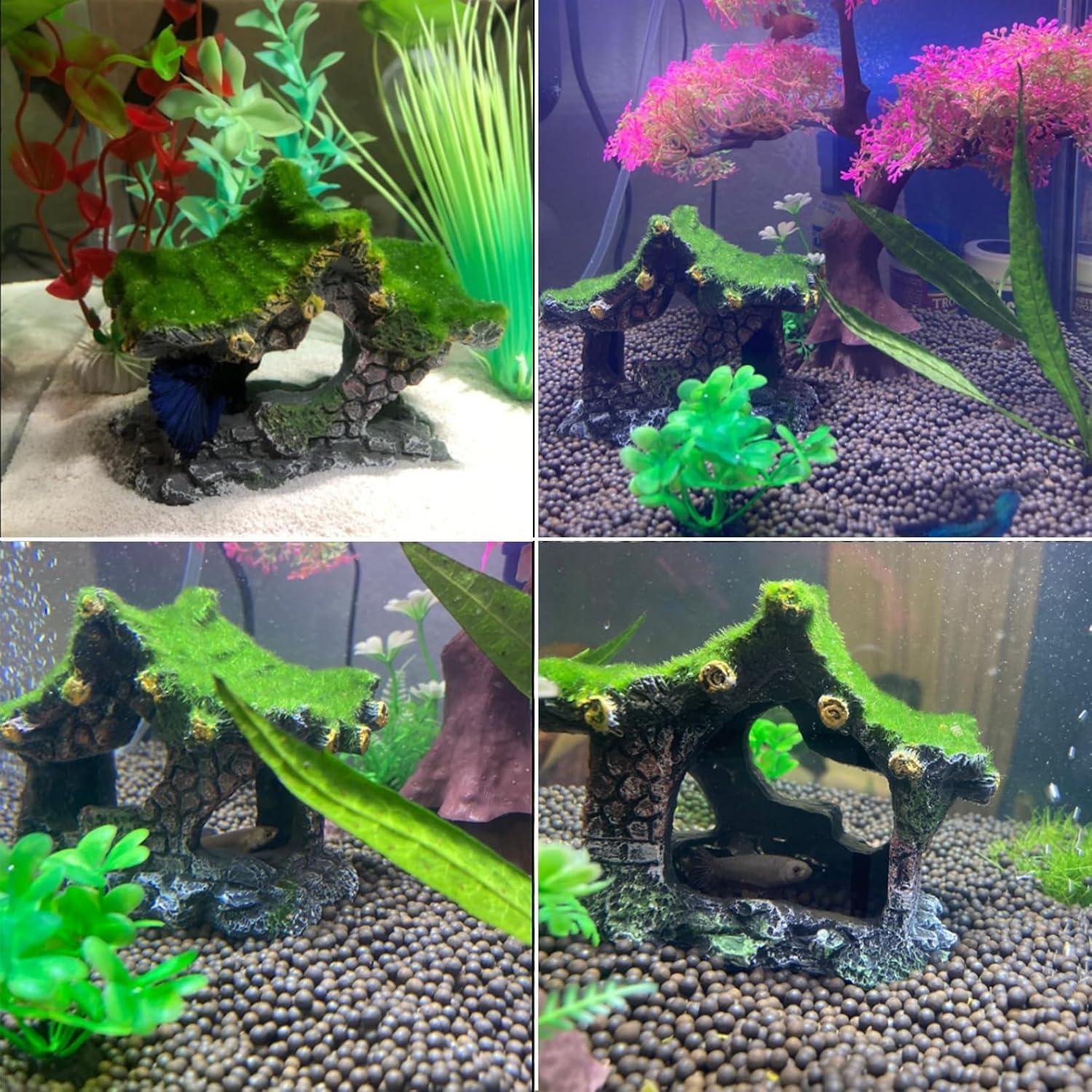 how Our Betta Fish Found Calm in this Cozy Resin Hideout