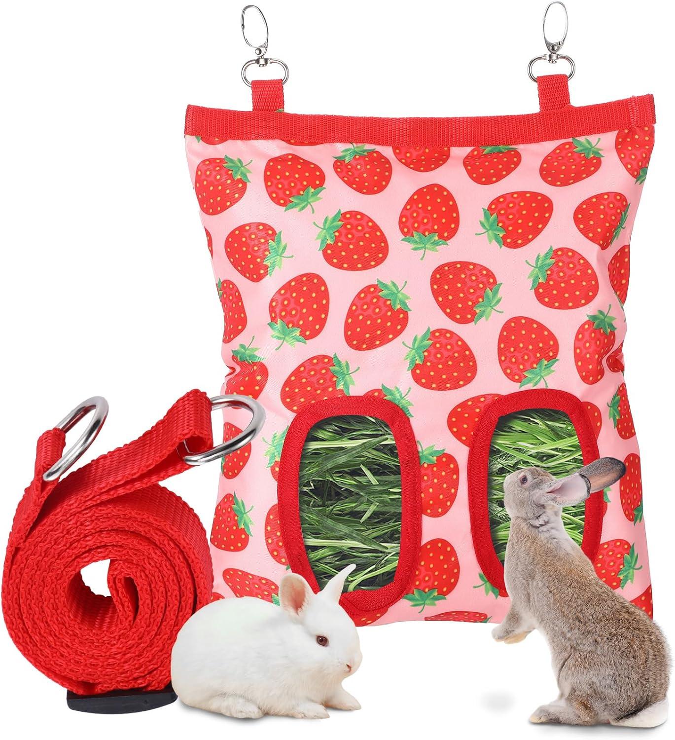 How This Durable Hay Feeder Keeps ⁣Our Small Pets Happy ⁣and Clean