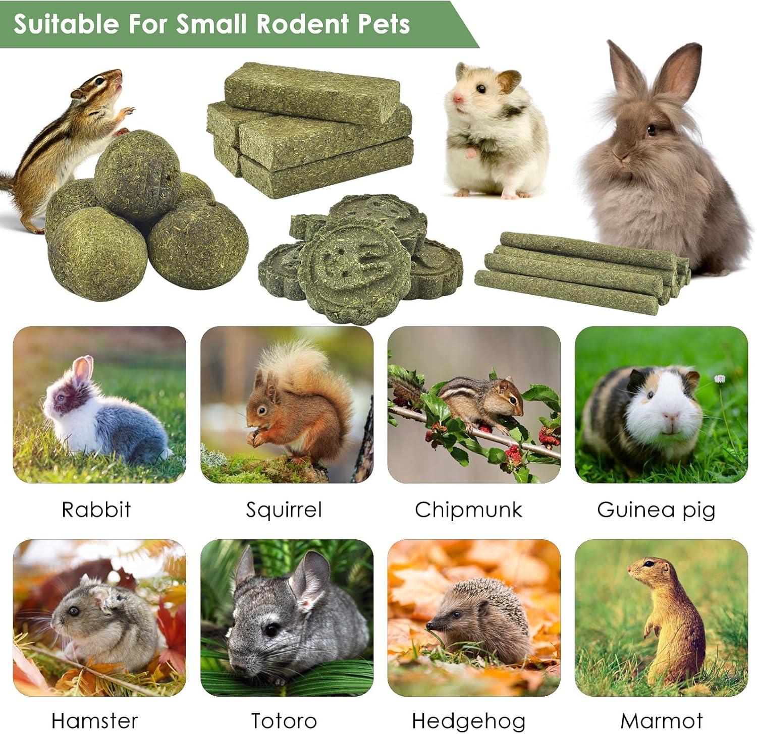 How Our Sugar Gliders Thrived on These natural Fish Stick Treats