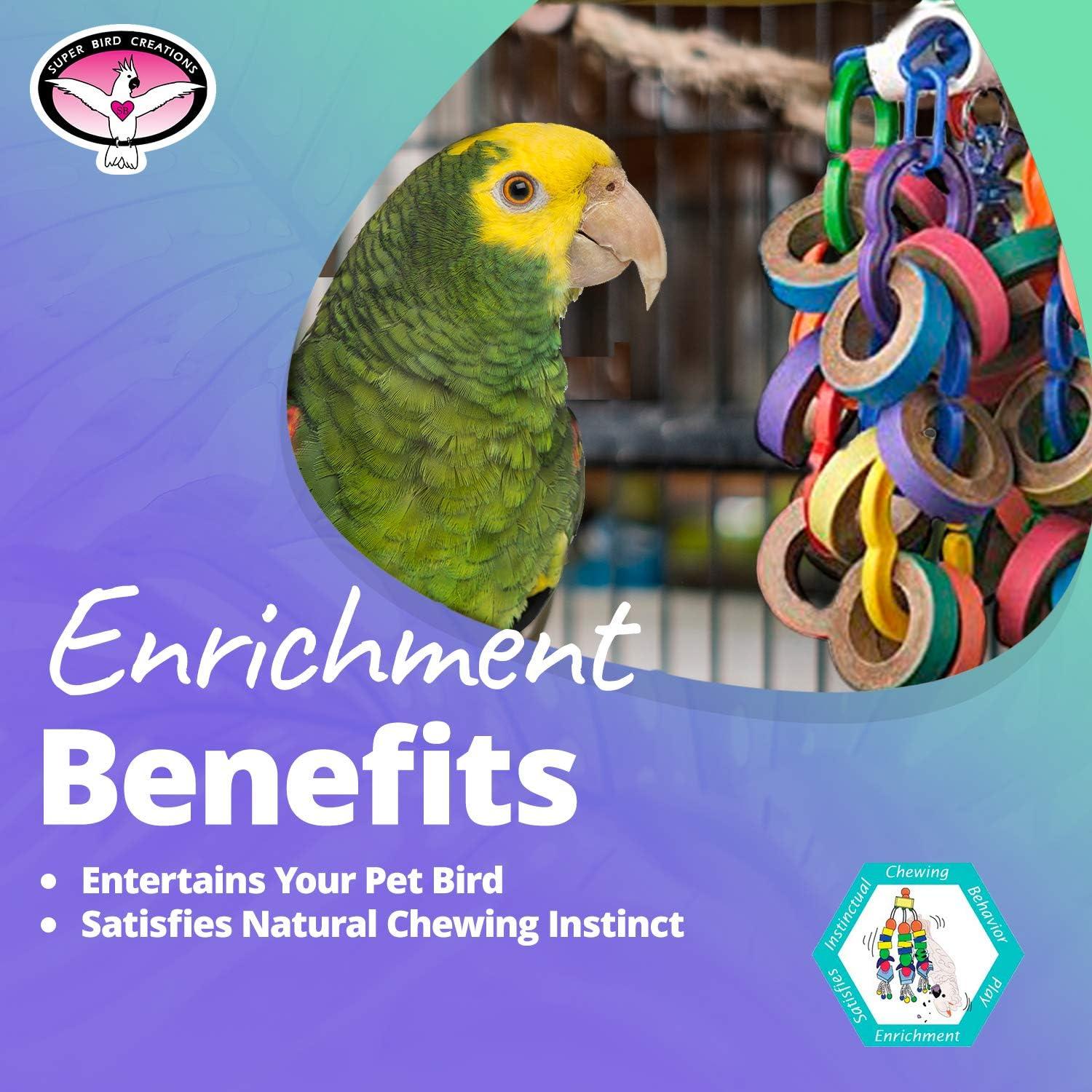 How Our ​Large ‌Birds Stay Happy and Active with Bagel Fun