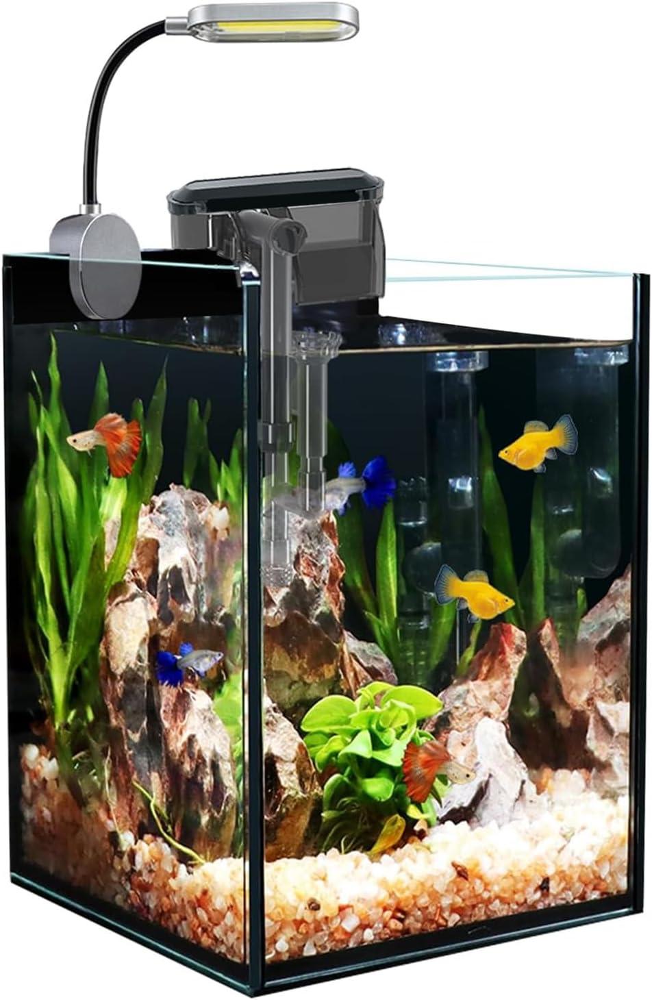 How⁢ Our Tiny ​Aquascape Dream Came Alive with This Nano Tank