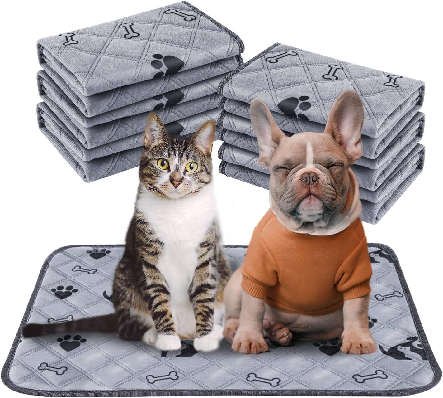 Top Holiday Gifts: Pet Stockings, Plushies & Fun Family Games