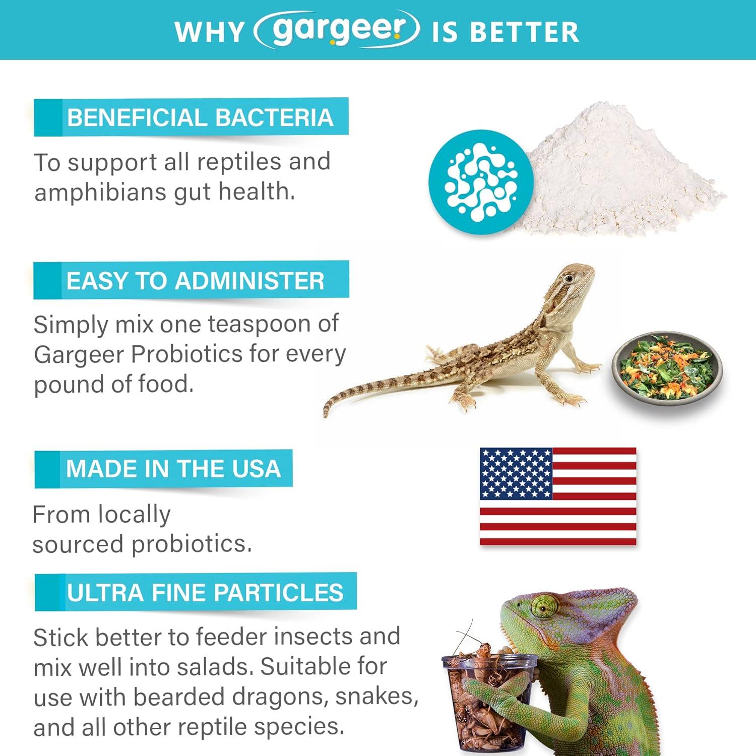 How We Boost our Reptiles’ Health with​ Easy Gut Support