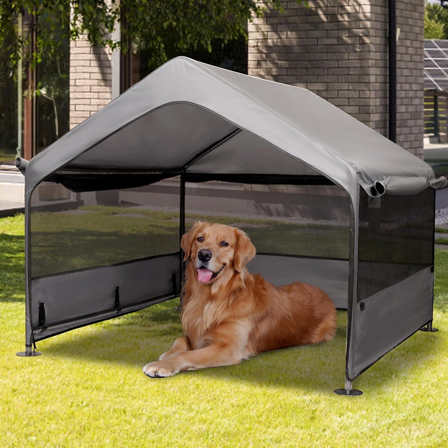 How Our Large Dog’s Outdoor Comfort Soared with This Breathable Shelter