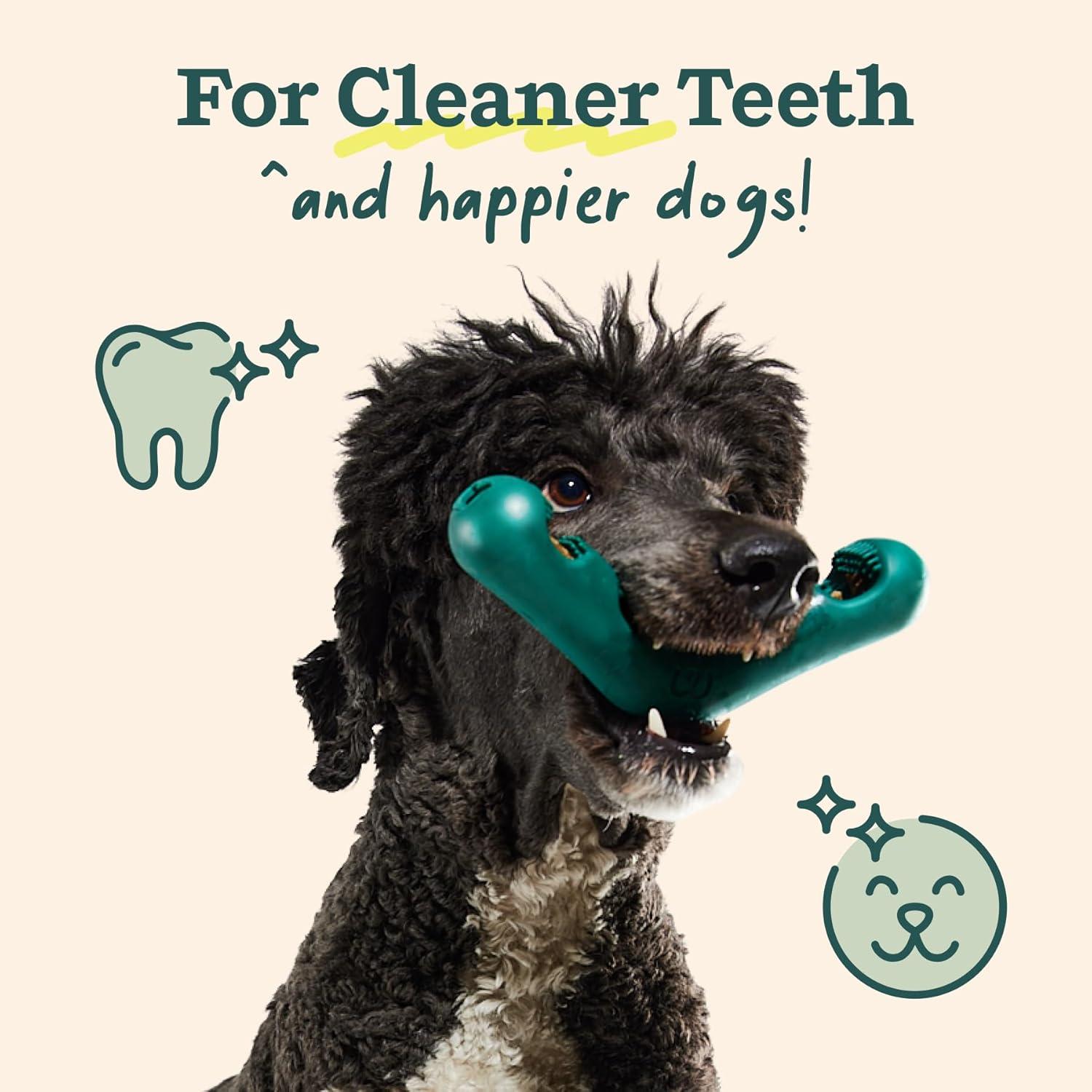How‍ Our Dogs’ Teeth Stay Sparkling⁣ With Easy Chew Refills