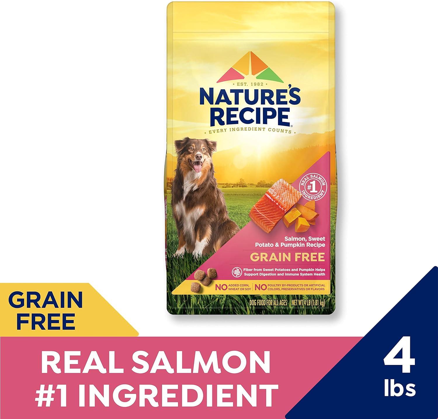 Fueling Our Dogs’ Health: Salmon & Pumpkin Kibble that Delivers
