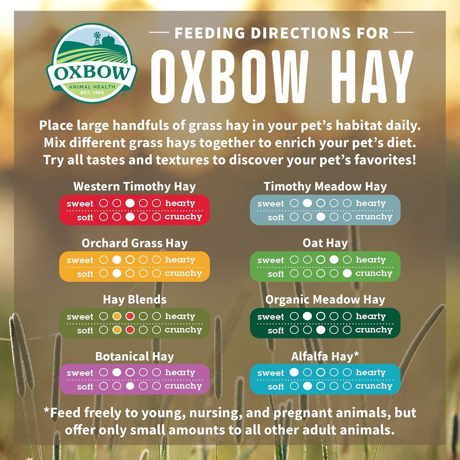 Why ⁣Our Small Pets Thrive on ‌This Premium Hay Blend