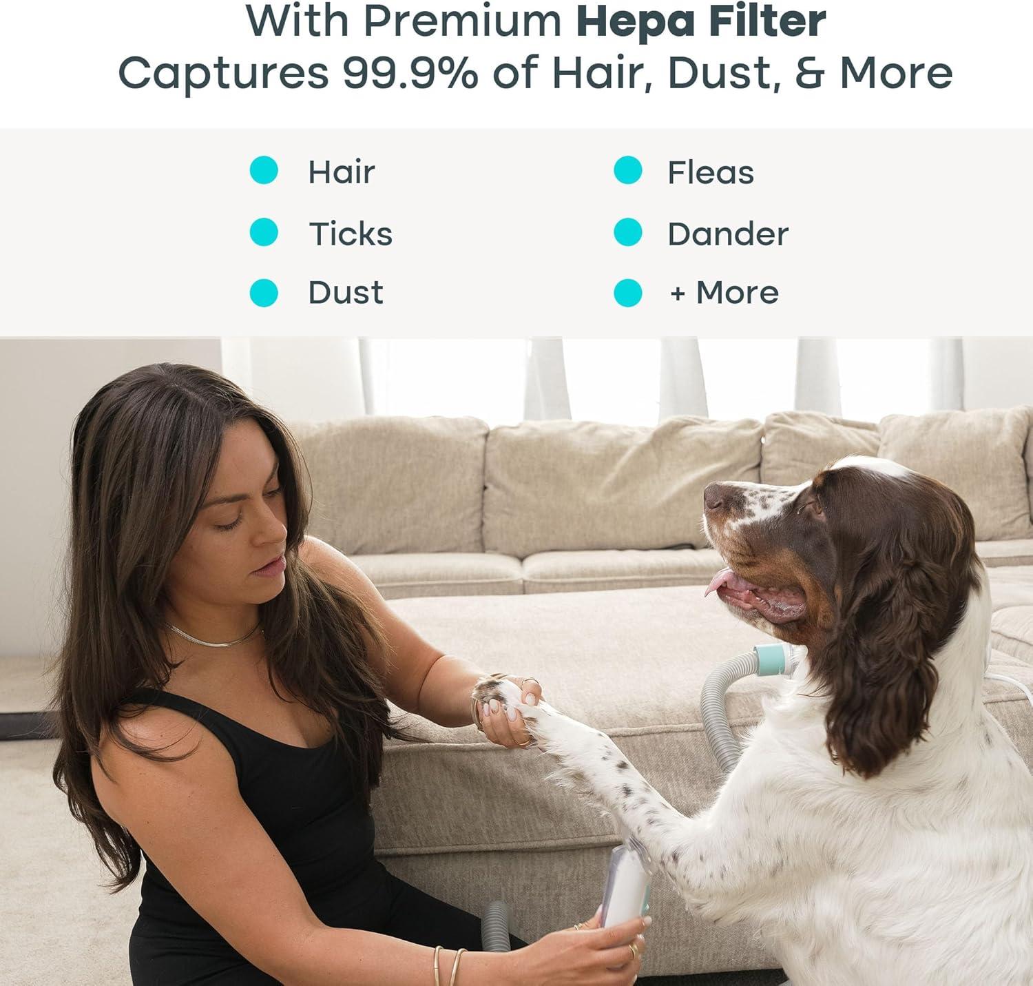 how We Finally Tamed Our Pets’ Hair Mess—Quiet,Complete Care