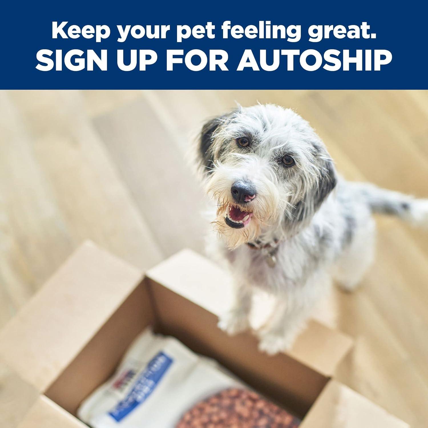 The Digestive ‌Care Dog Food​ That transformed Our ‍Pup’s Health