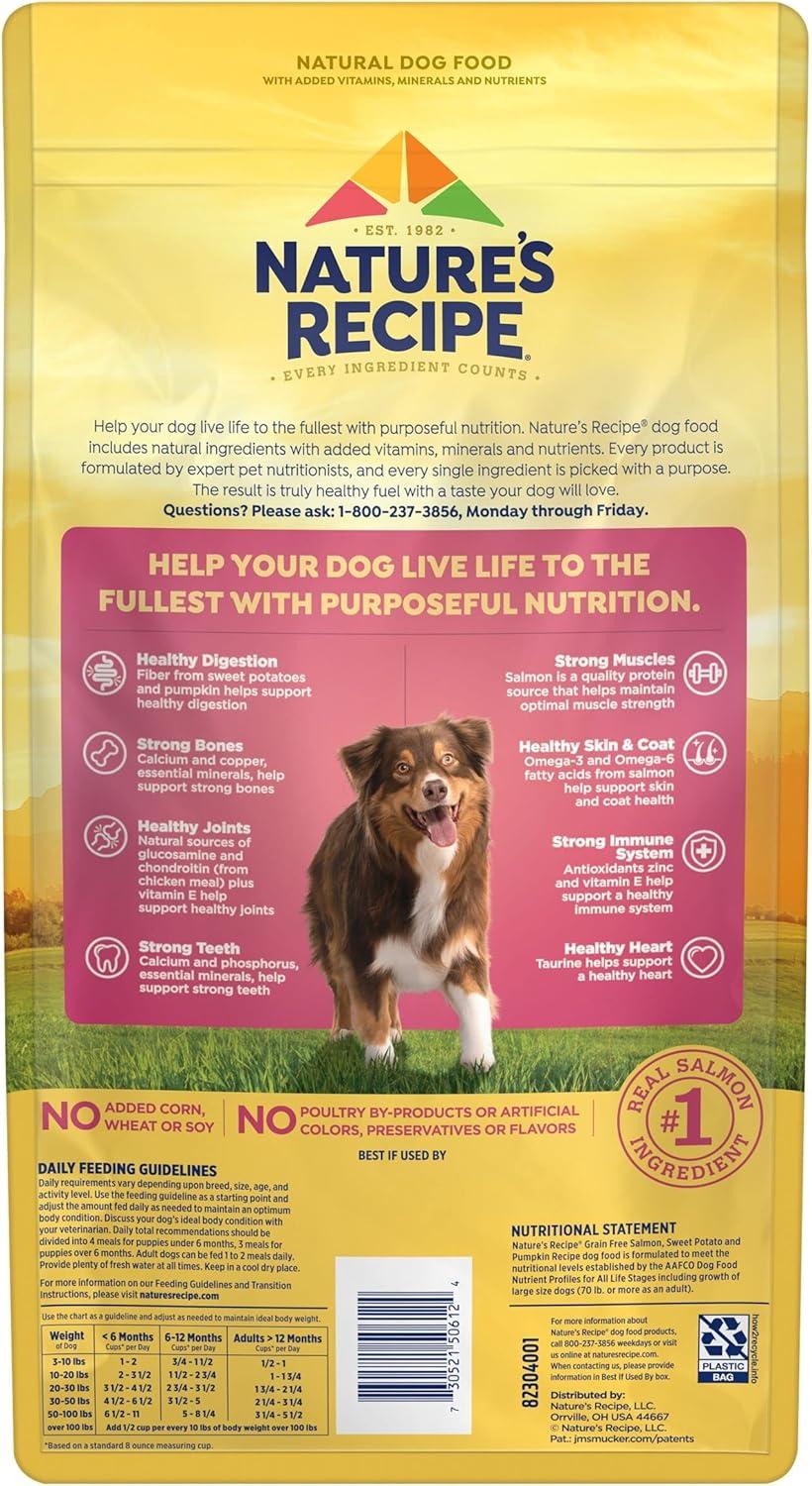 Fueling Our Dogs’ Health: Salmon & Pumpkin Kibble That Delivers