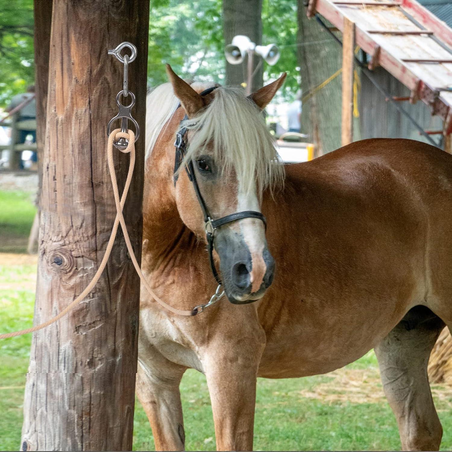 How Our Horses Found Calm: A Tie Ring‍ That ⁢Stops Pulling