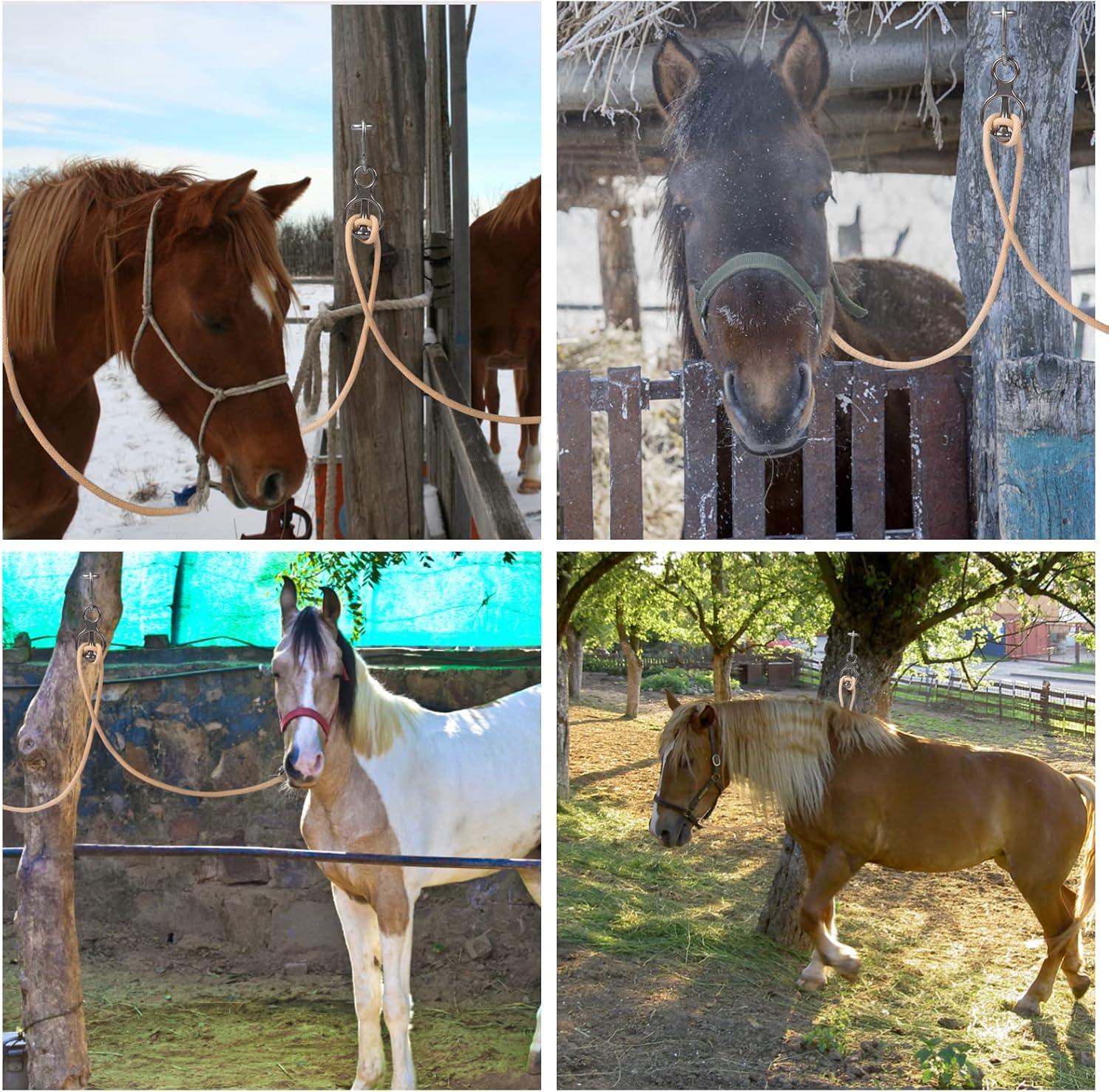 How Our Horses Found Calm: A Tie Ring That Stops Pulling