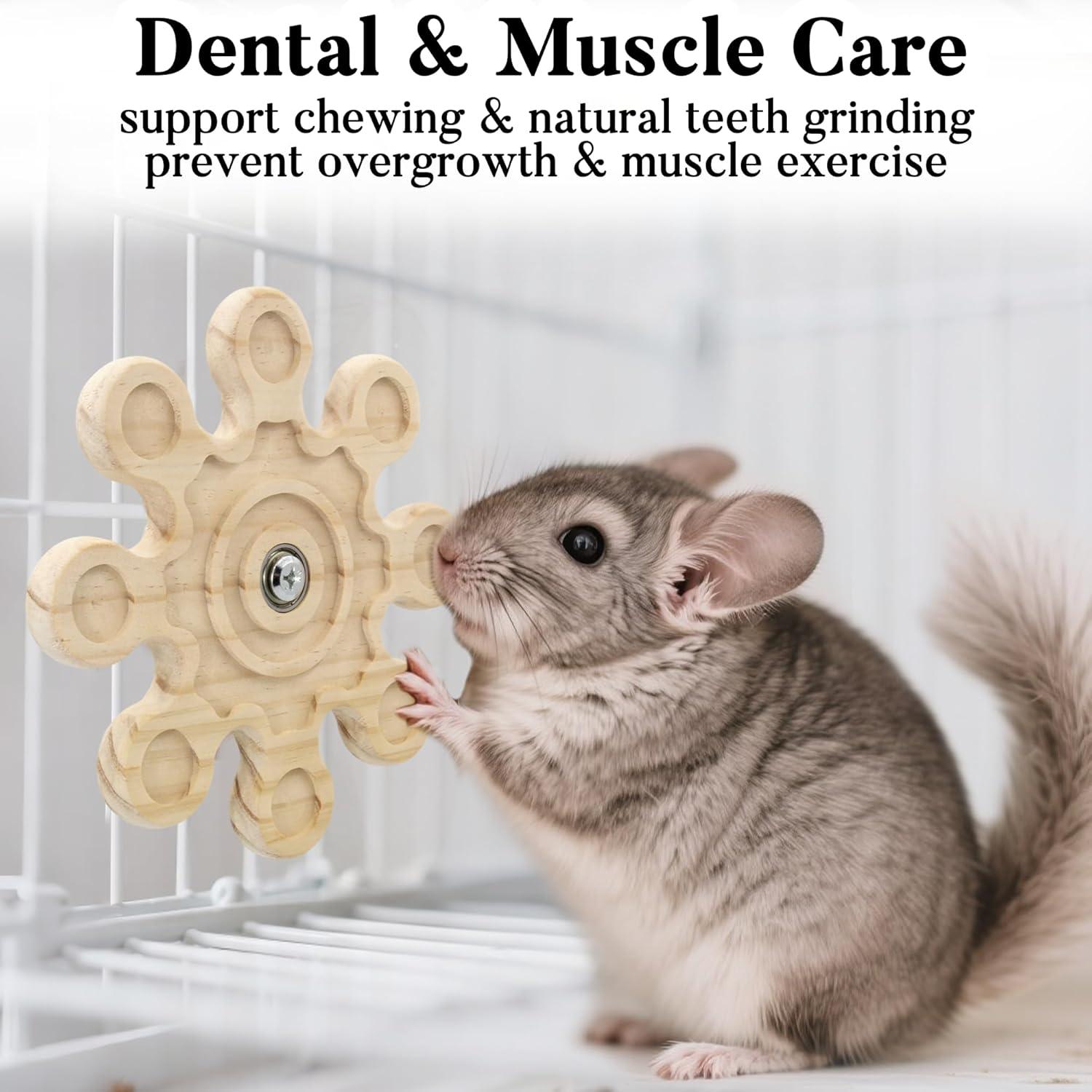 How Our Chinchillas Stay Happy and Healthy with This Rotating Toy