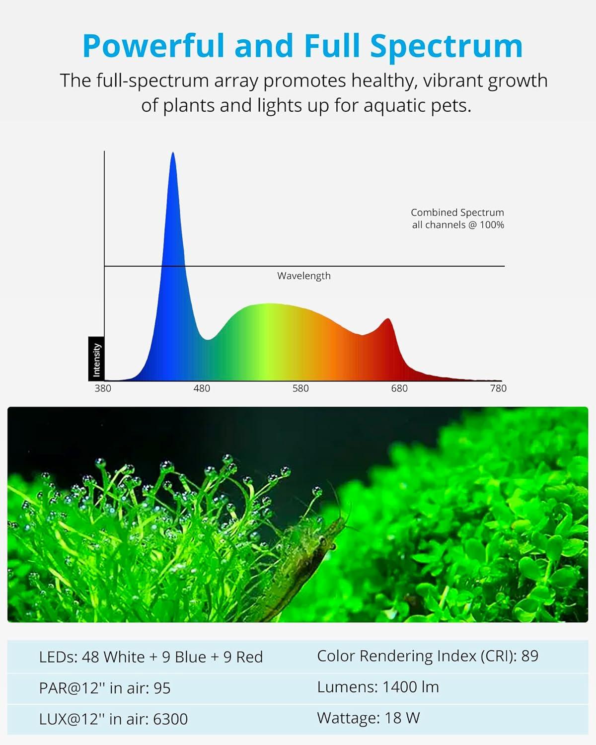How We Elevated​ Our Aquascape with Nature’s Light ‍Simulator