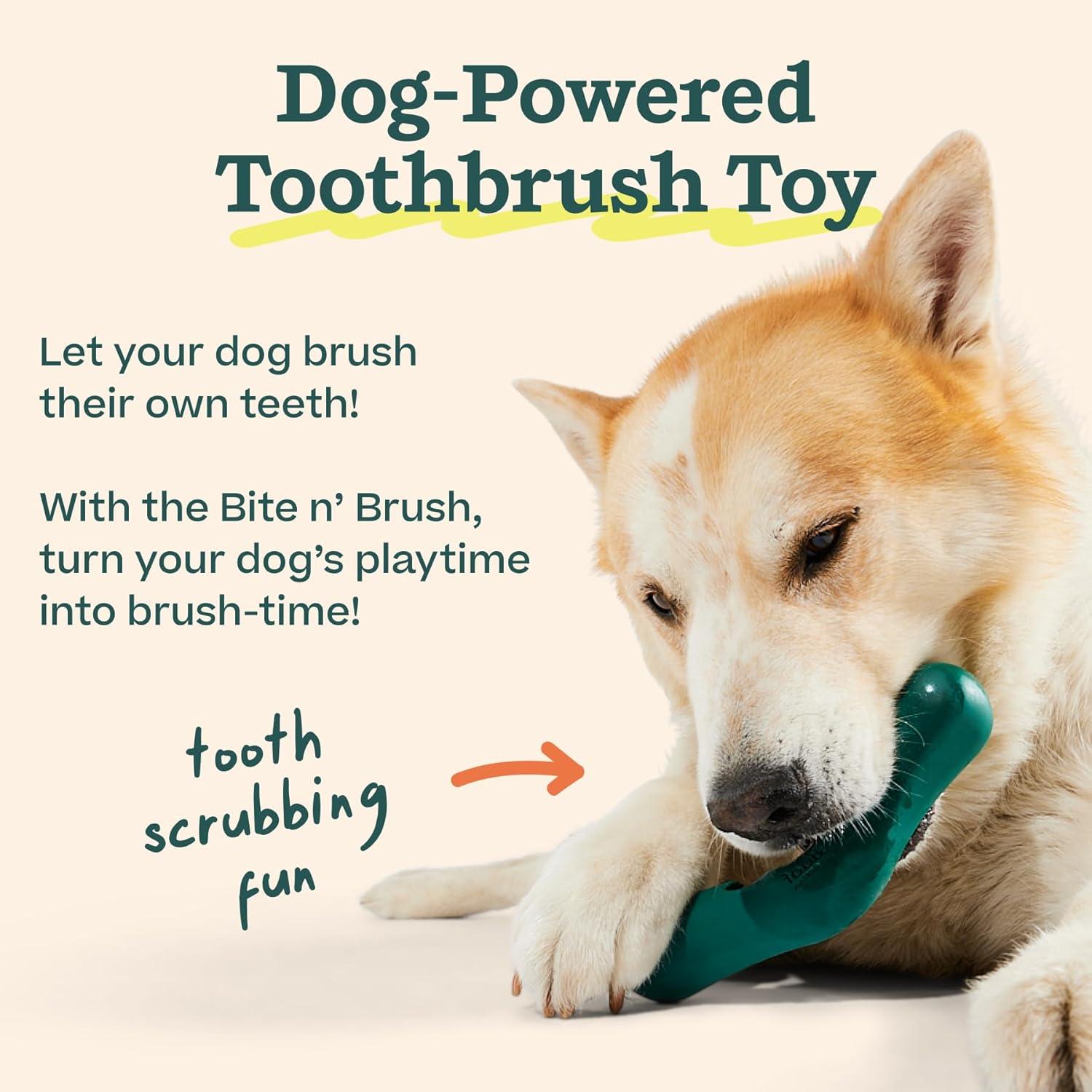 How Our ‍Dogs’ Teeth‌ Stay Sparkling ‌With ⁤Easy Chew Refills