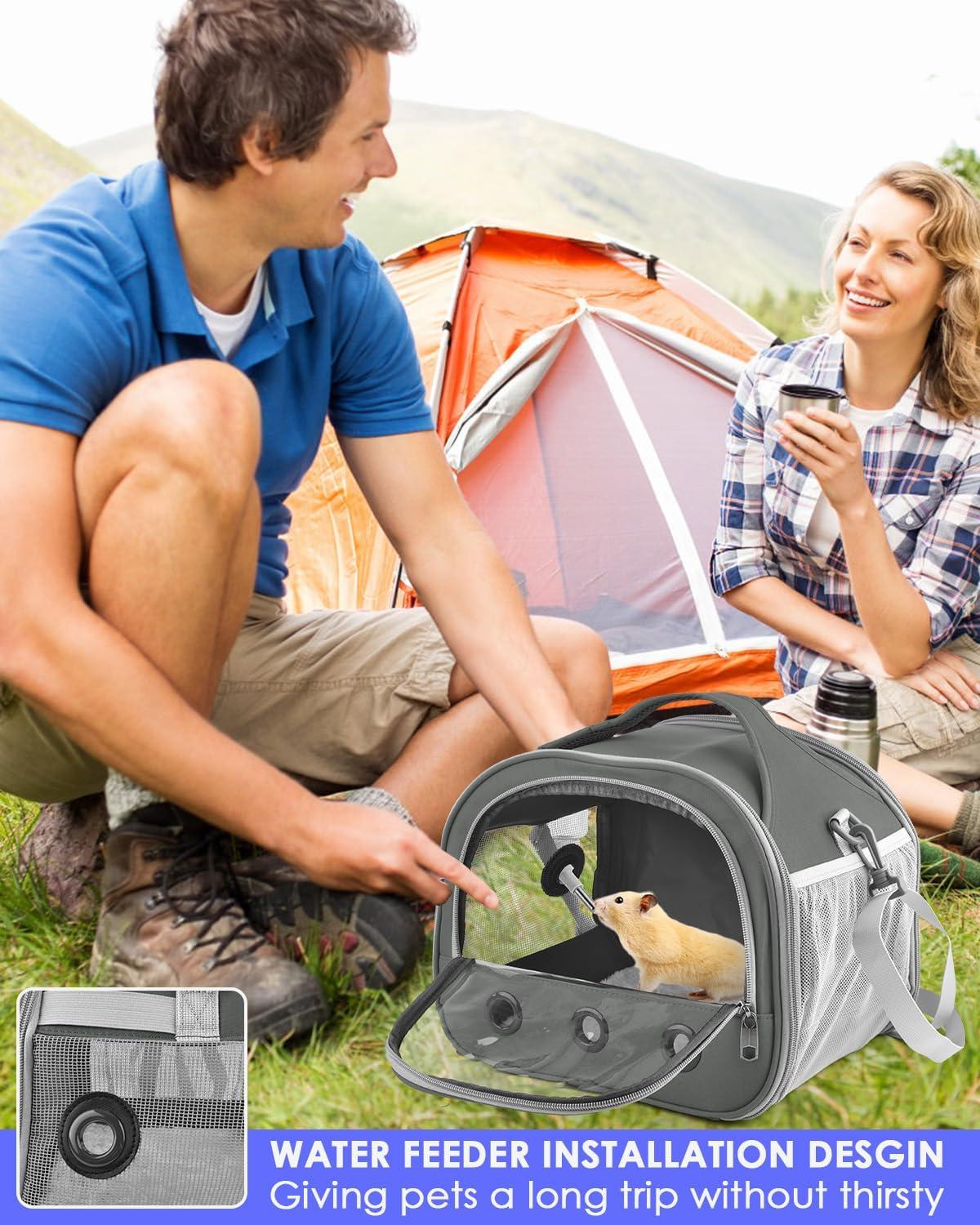 Keeping Our Small Pets Safe and comfy on Every Outing