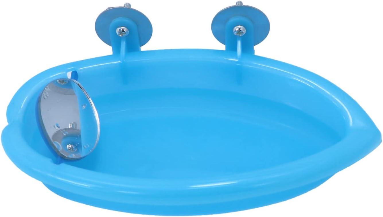 How Our Feathered Friends Enjoy Splash time with This Clever Bird Bath