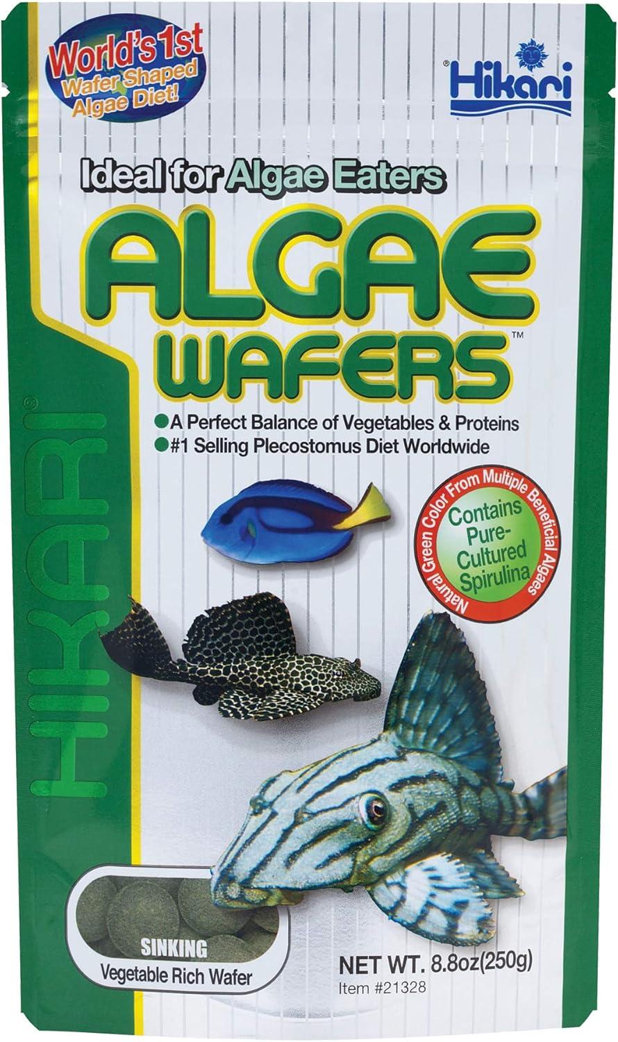 The Tropical Algae ​Wafer ‍That Keeps Our Fish Healthy and Happy