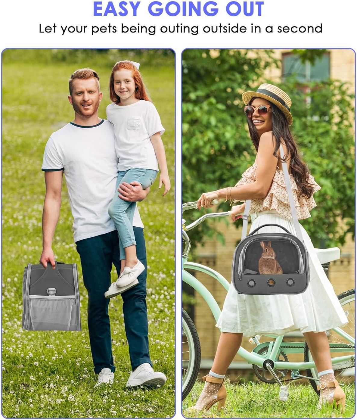 Keeping Our Small pets Safe and comfy on Every Outing