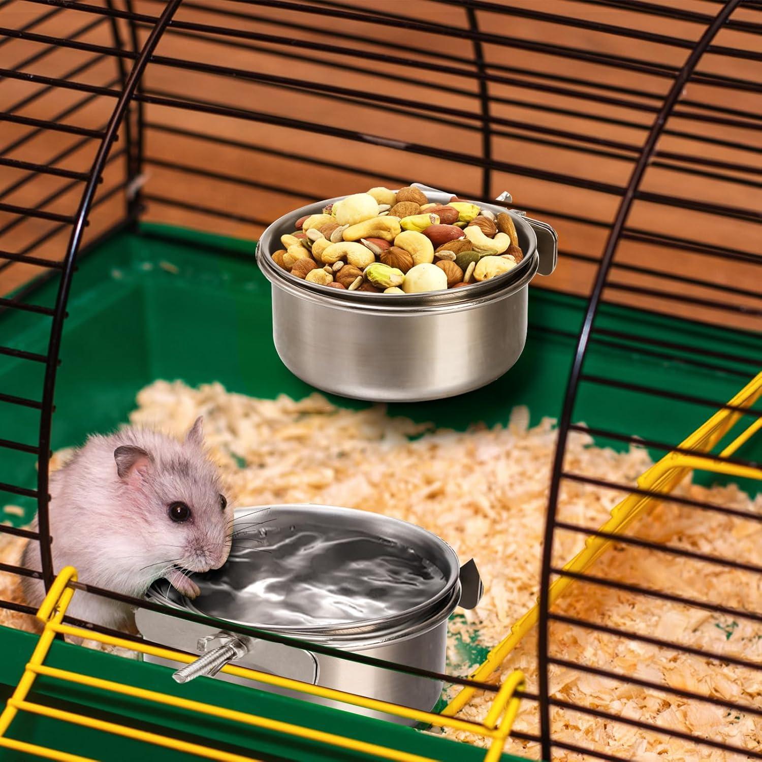 The Bird Bowls āThat Keep Our Small Pets Fed and Mess-Free