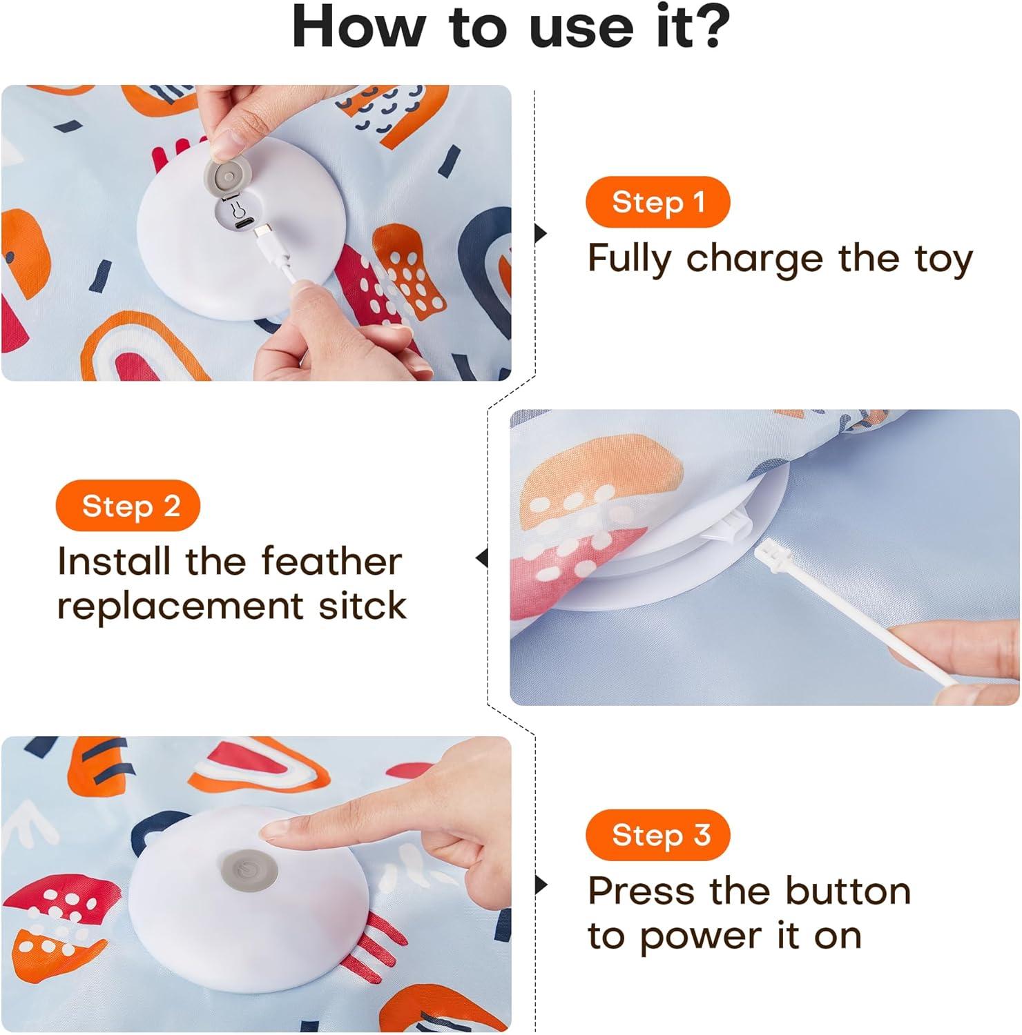 How ​We Keep Our Cats Active and Curious Indoors every‍ Day