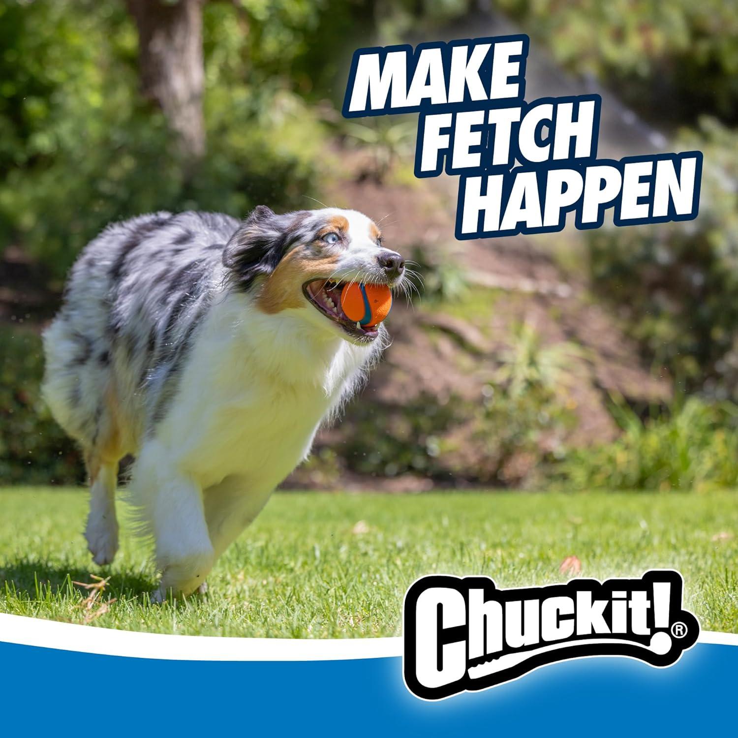 How Our Dogs Found Endless Joy with Chuckit!’s High-Bounce Fetch Trio