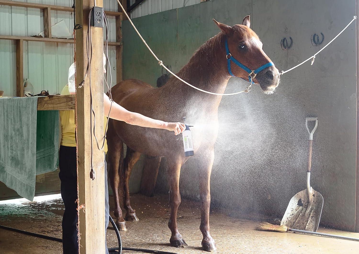 why Our Horse Care Routine Improved with This Ultra-Fine Mister