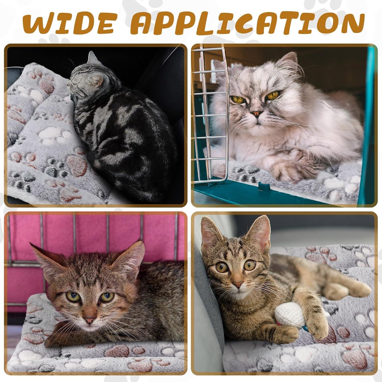 How Our Pets Found Comfort in These Cozy, Cute Small Beds