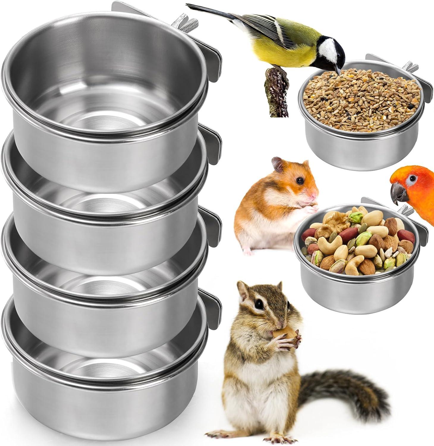 The Bird Bowlsā That Keep Our Small Pets Fed and Mess-Free