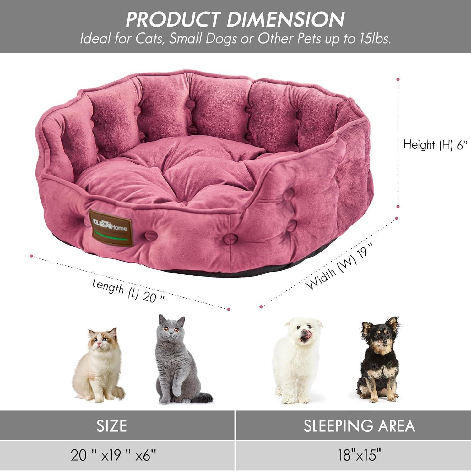Why⁢ Our Small Pets‍ Love This Cozy,⁢ Easy-Clean Plush Bed